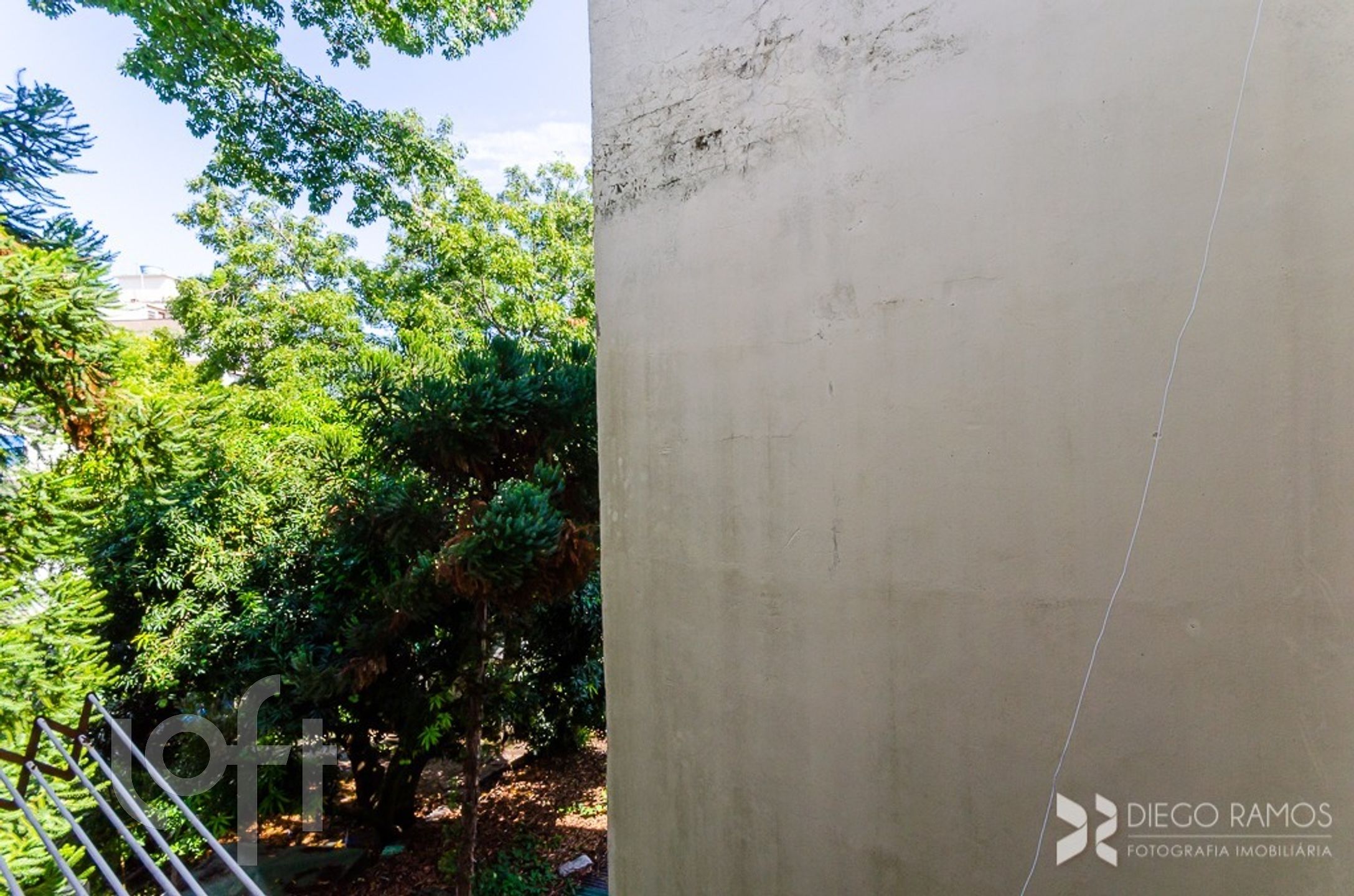 Imagem da propriedade 14