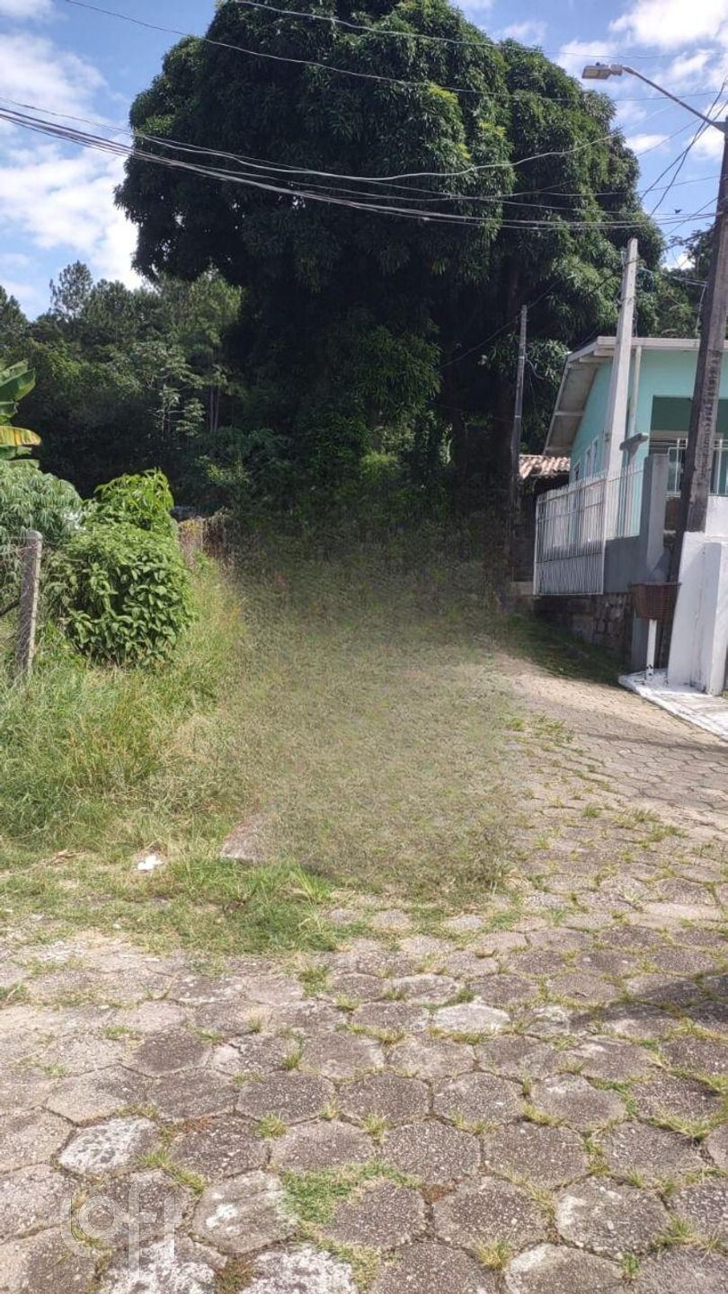 Imagem da propriedade 15