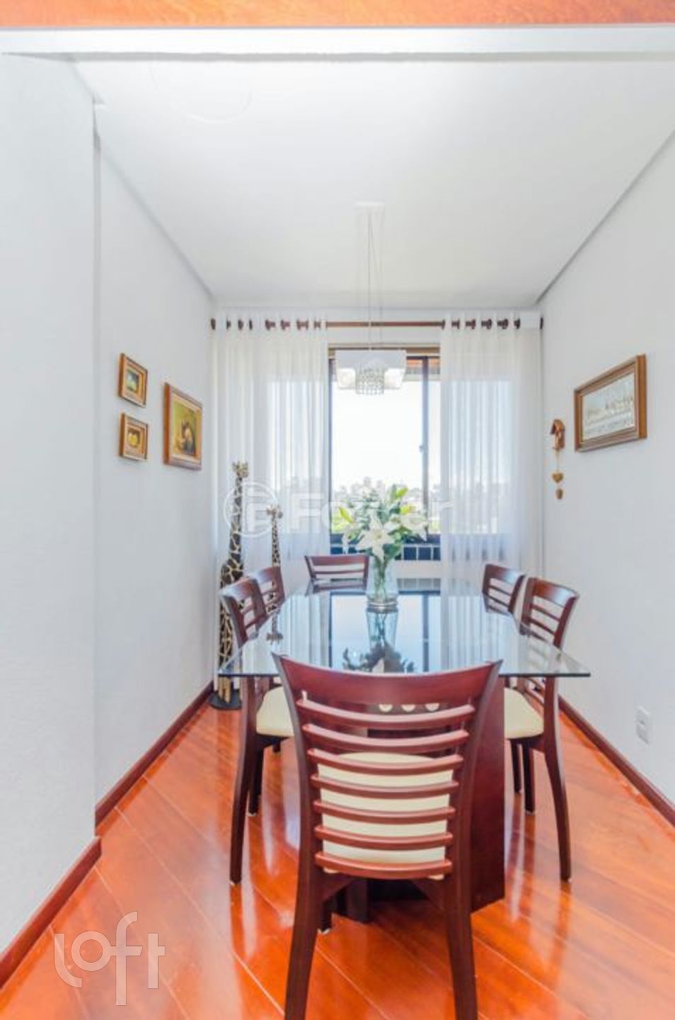 Imagem da propriedade 13