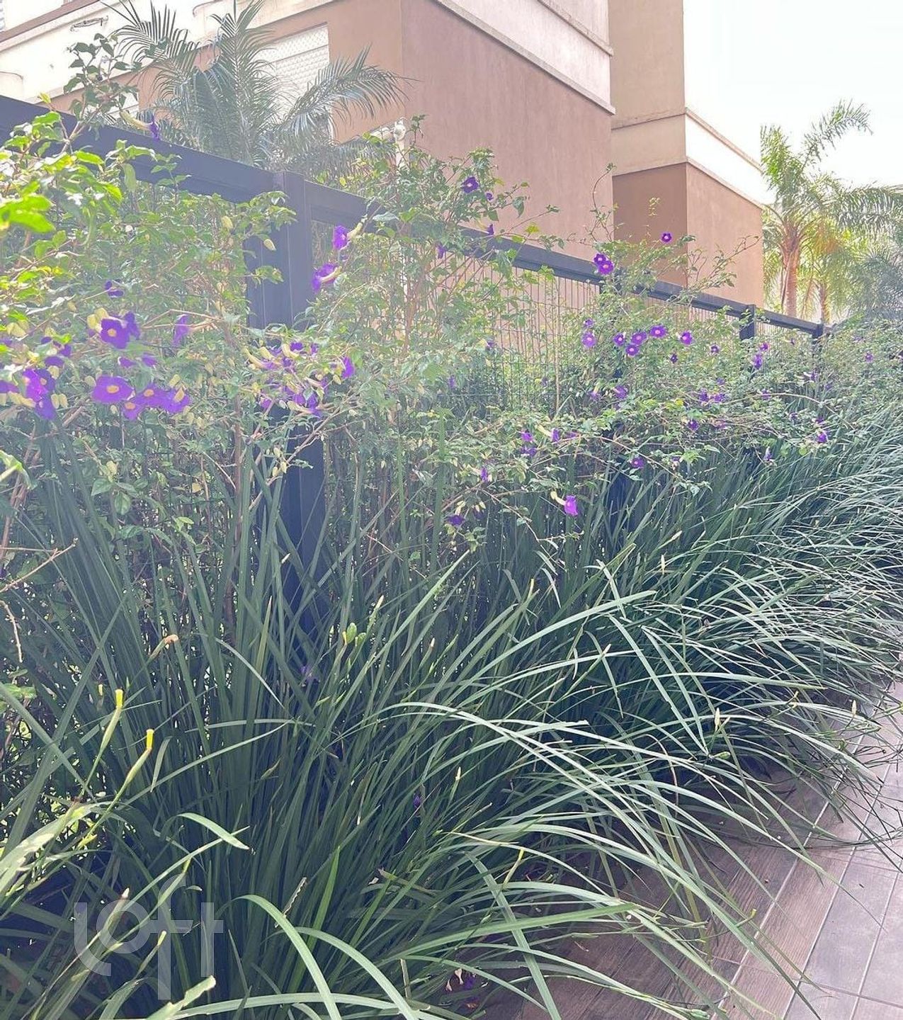 Imagem da propriedade 11