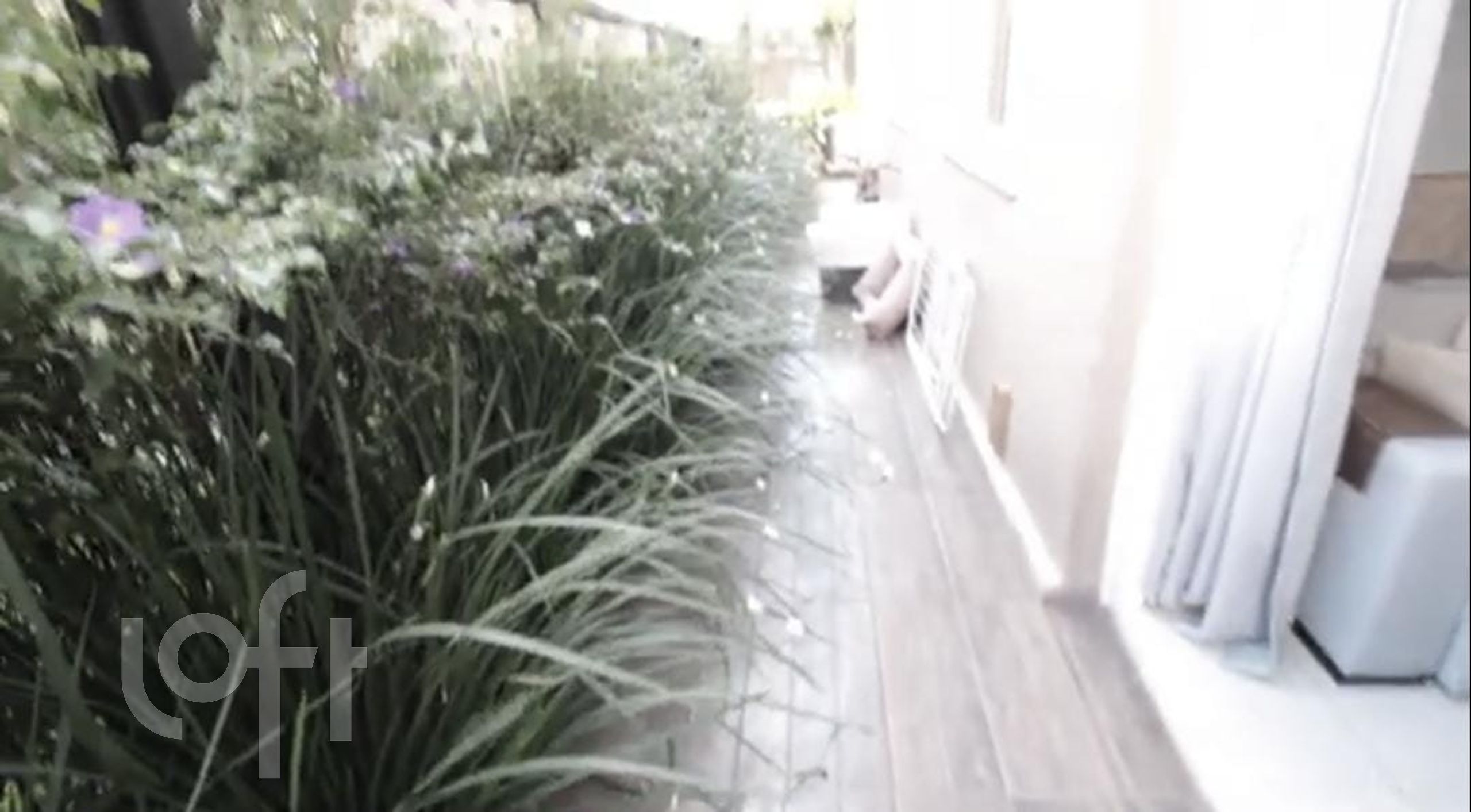 Imagem da propriedade 12