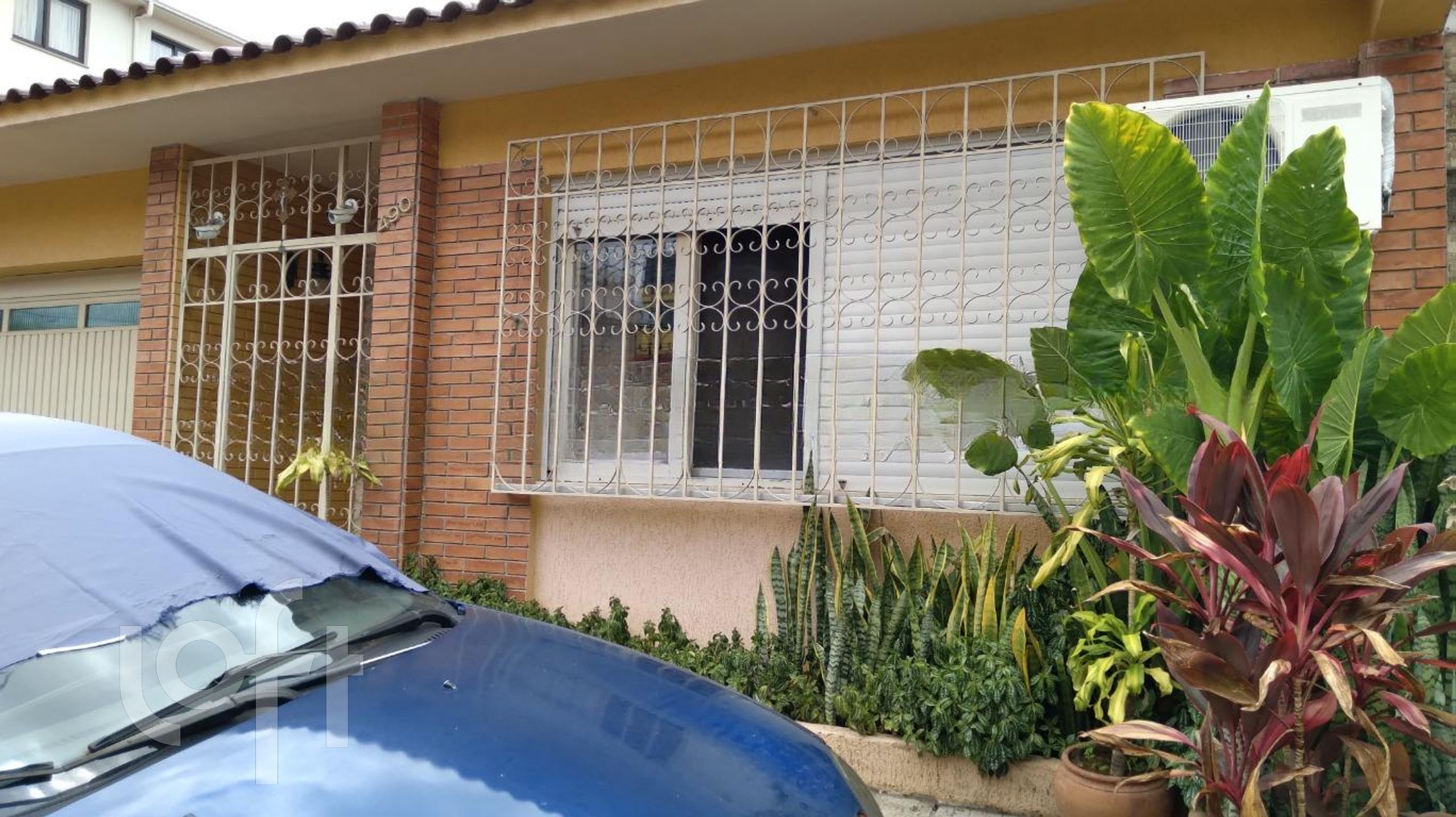 Imagem da propriedade 3