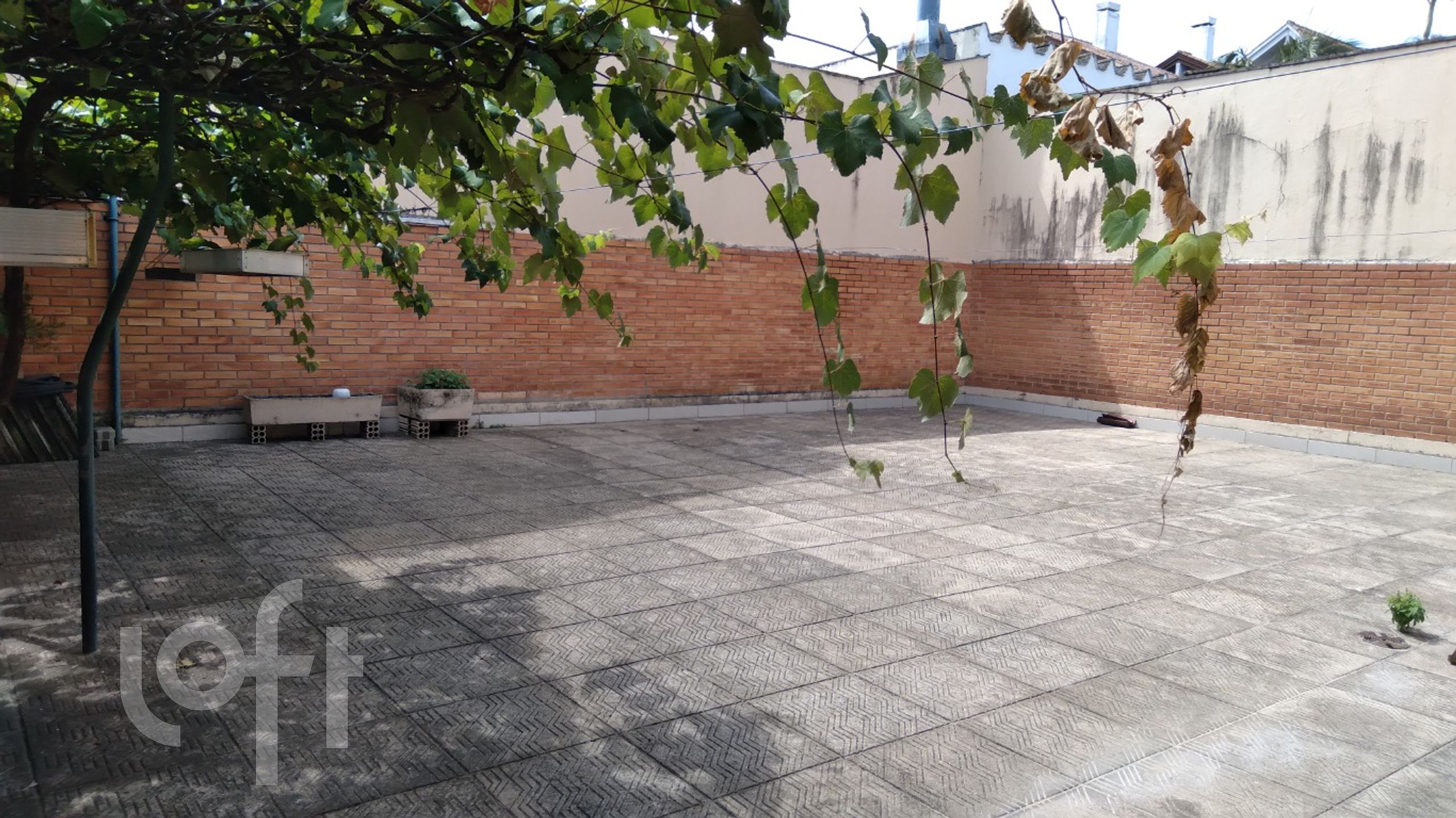 Imagem da propriedade 33