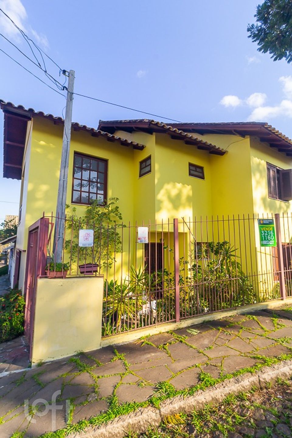 Imagem da propriedade 32