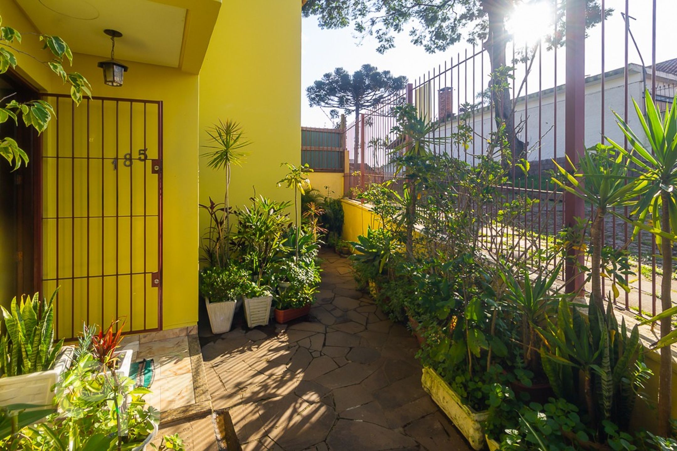 Imagem da propriedade 30