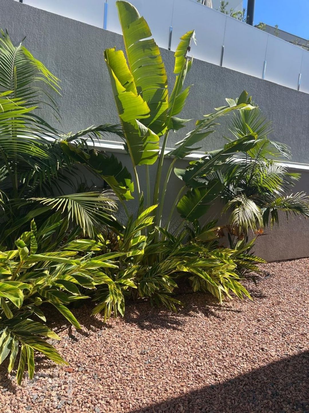 Imagem da propriedade 25