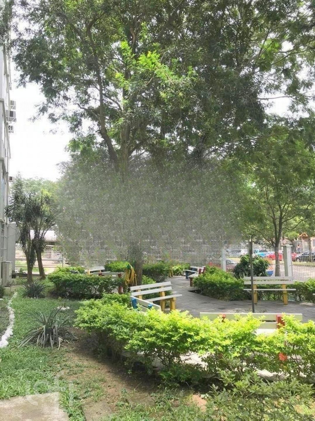 Imagem da propriedade 8