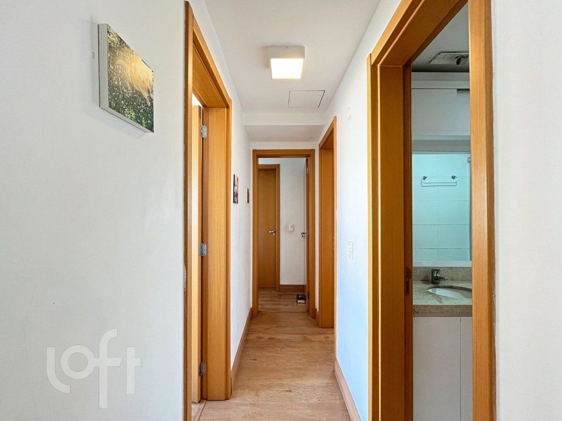 Imagem da propriedade 20