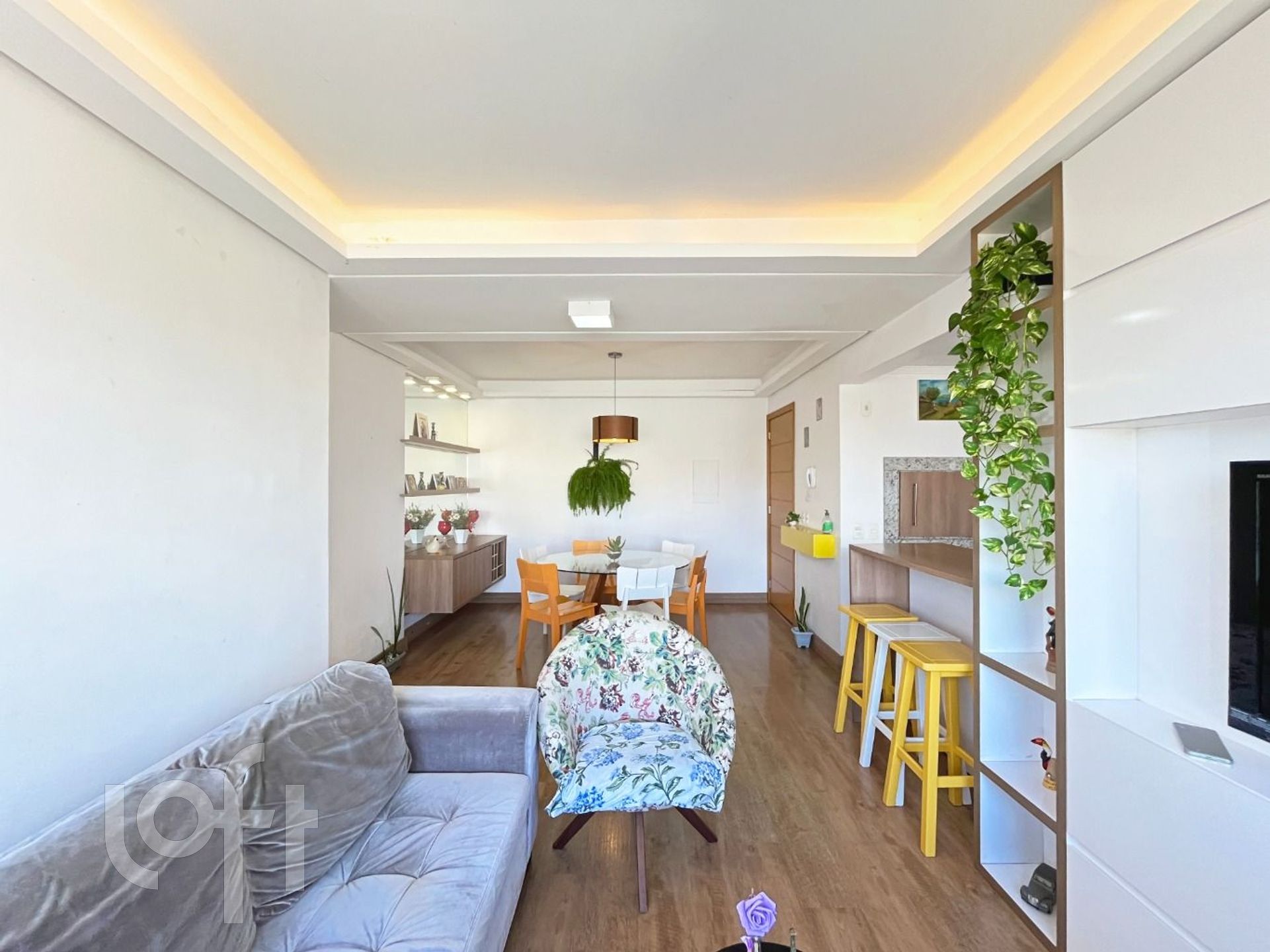 Imagem da propriedade 5