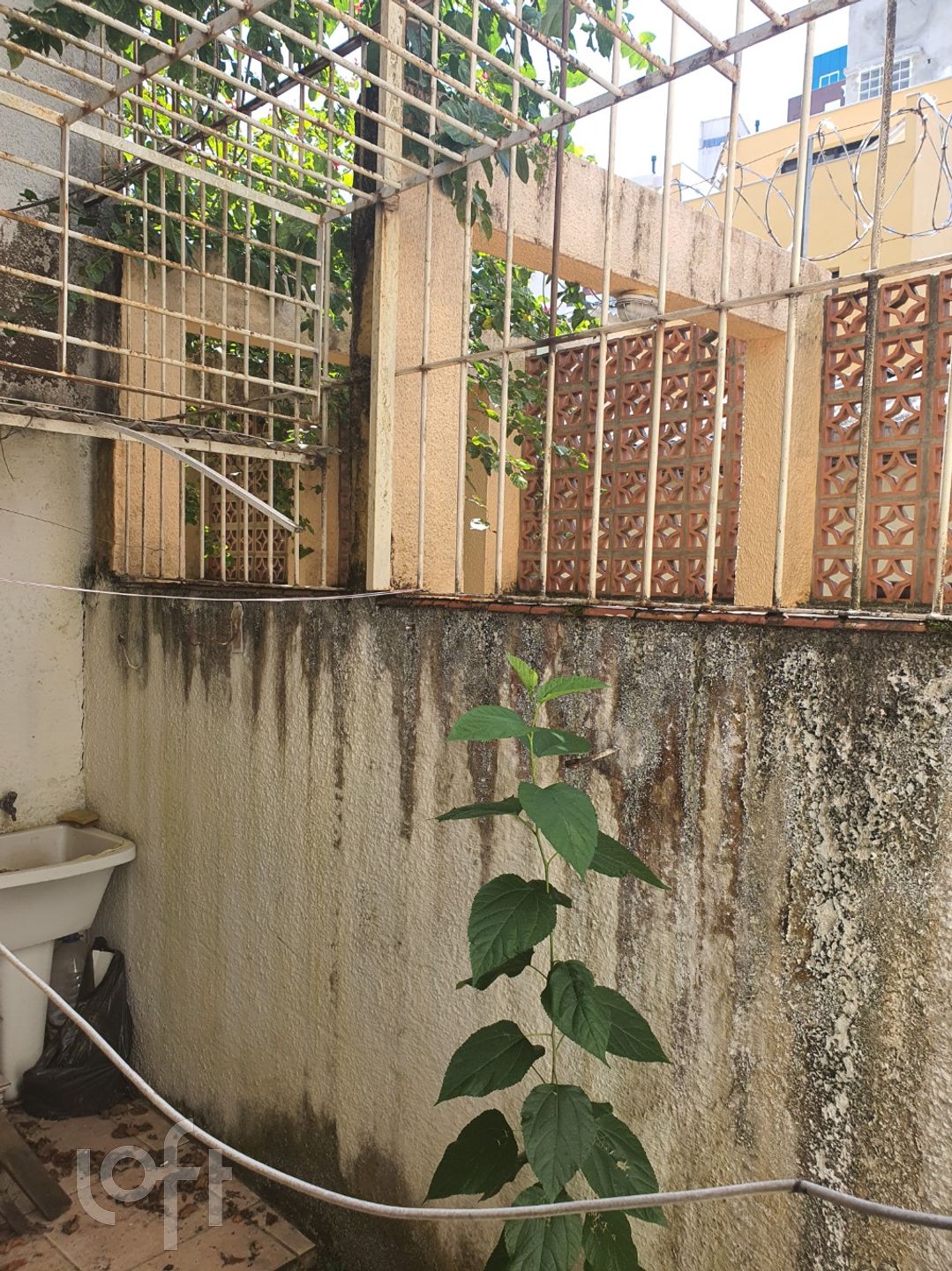 Imagem da propriedade 15