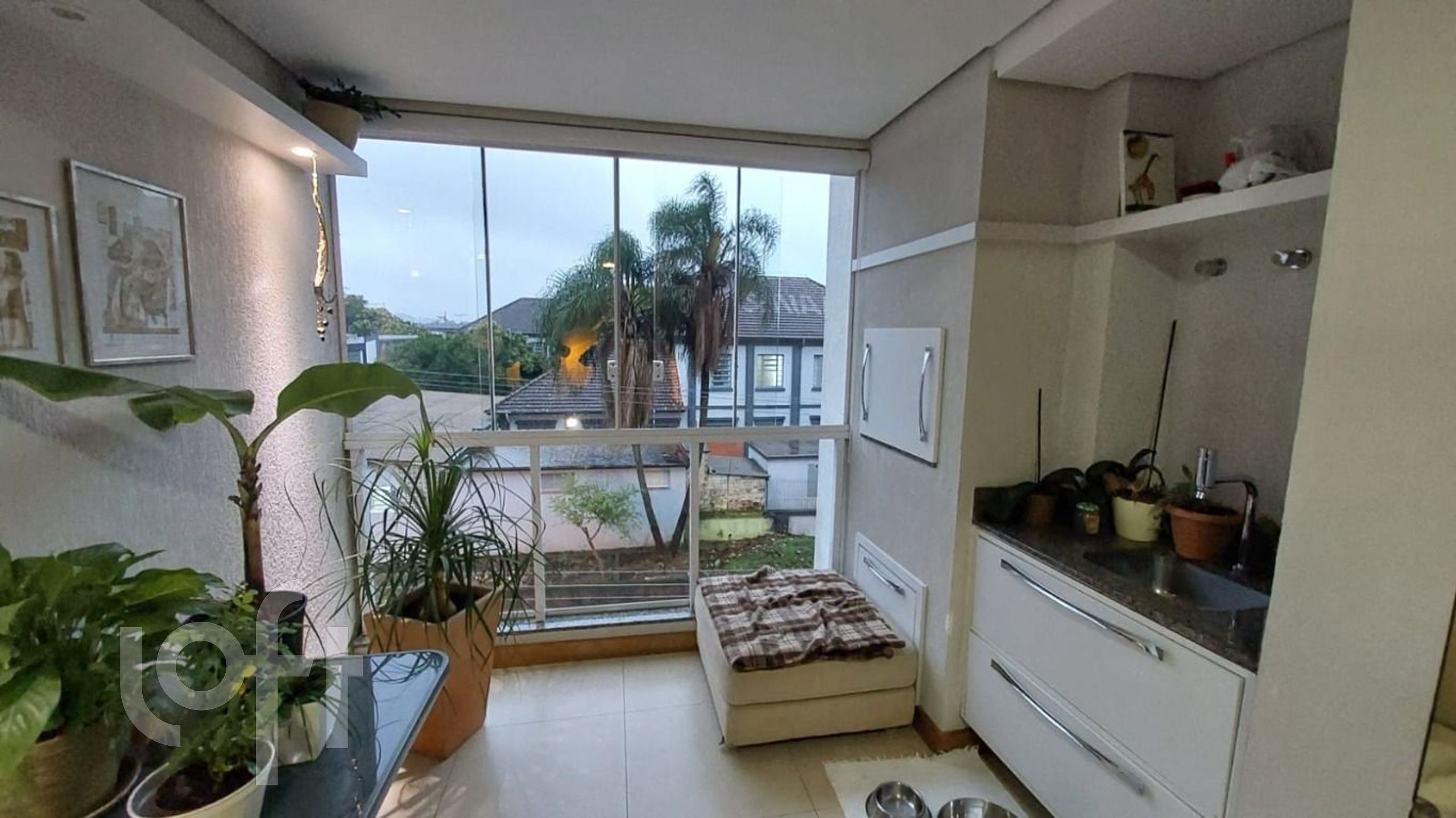 Imagem da propriedade 3