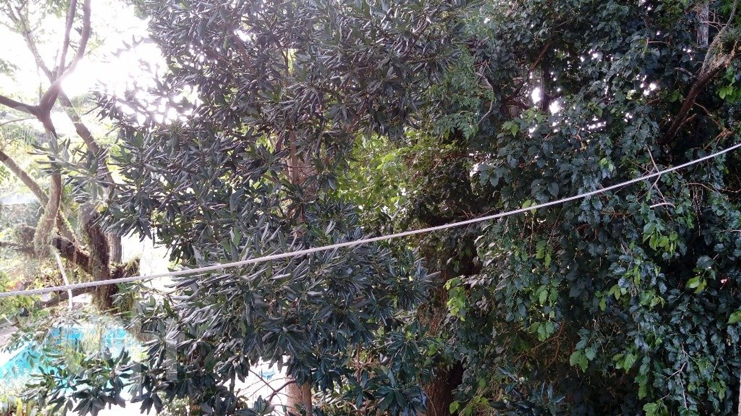 Imagem da propriedade 44