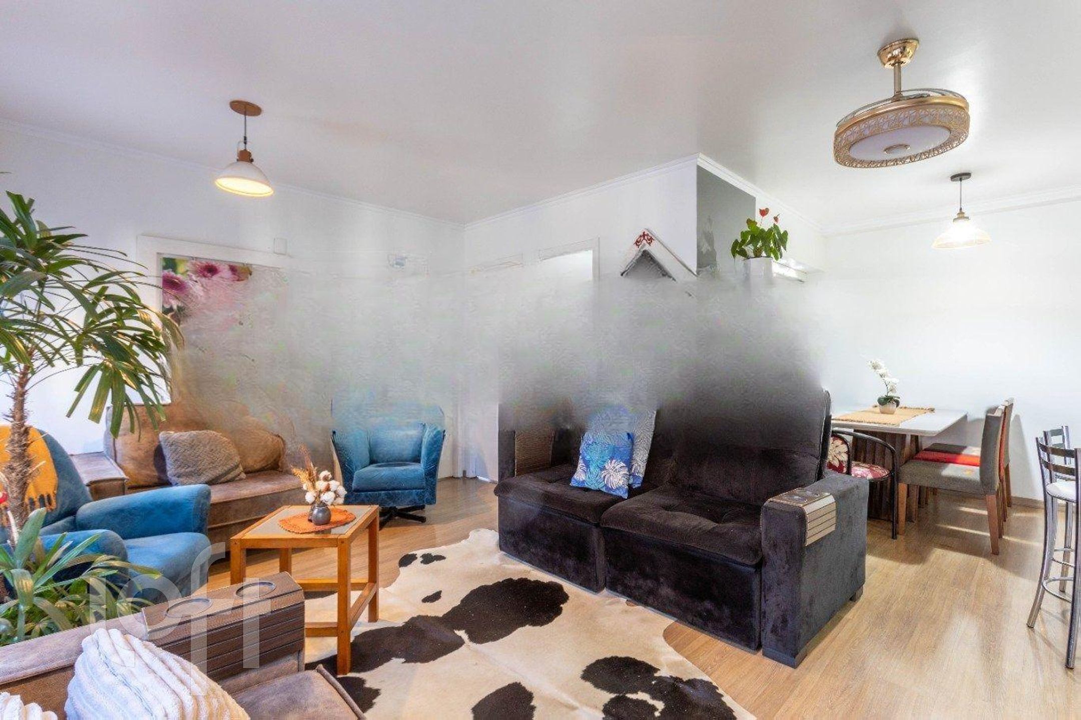 Imagem da propriedade 8