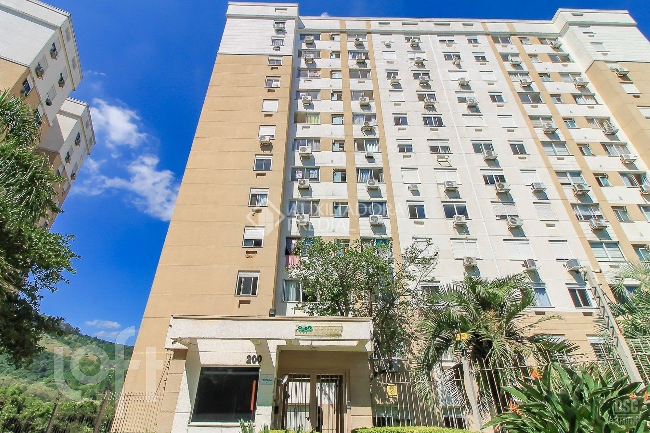 Imagem da propriedade 21