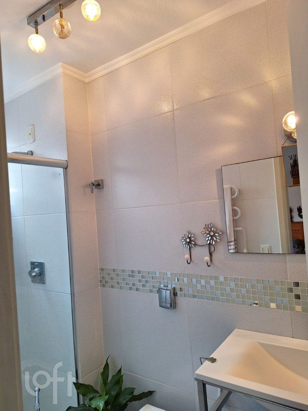 Imagem da propriedade 12