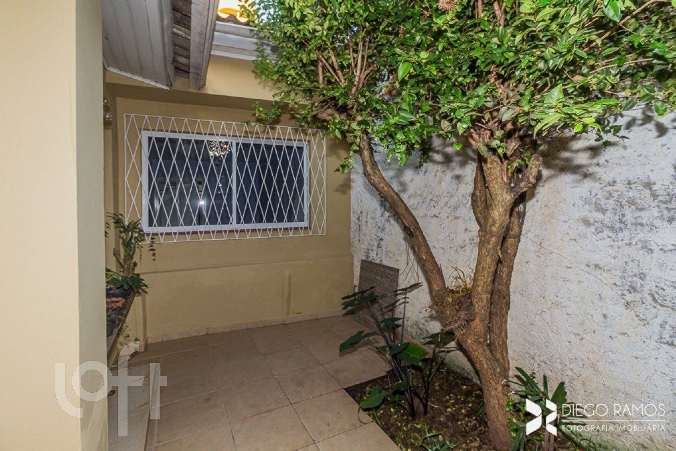 Imagem da propriedade 32