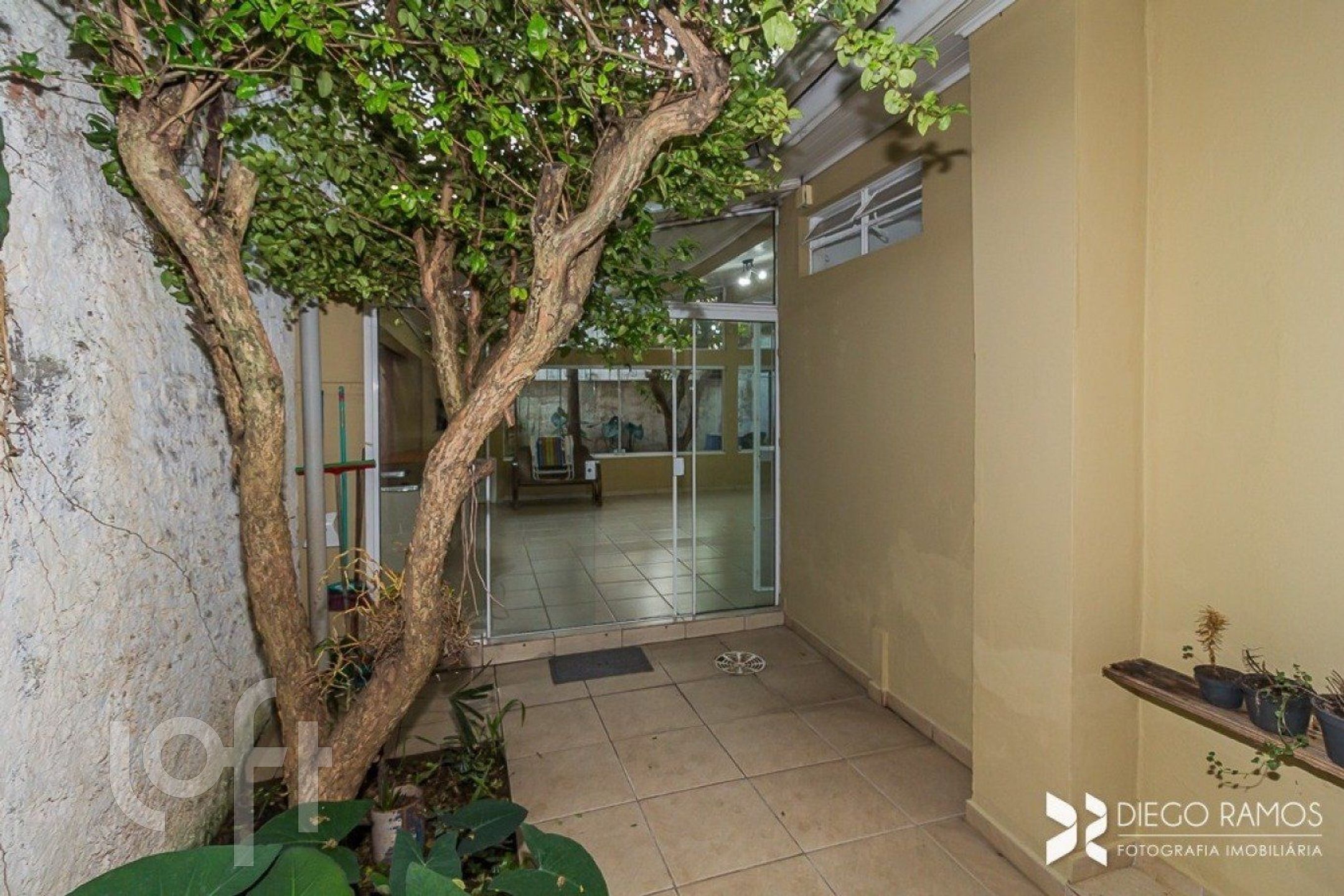 Imagem da propriedade 30