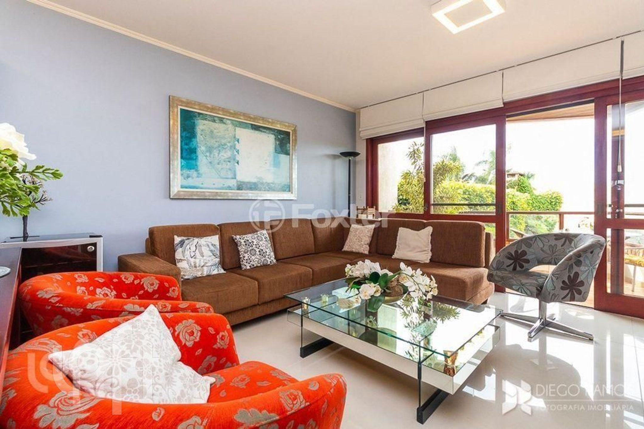 Imagem da propriedade 7