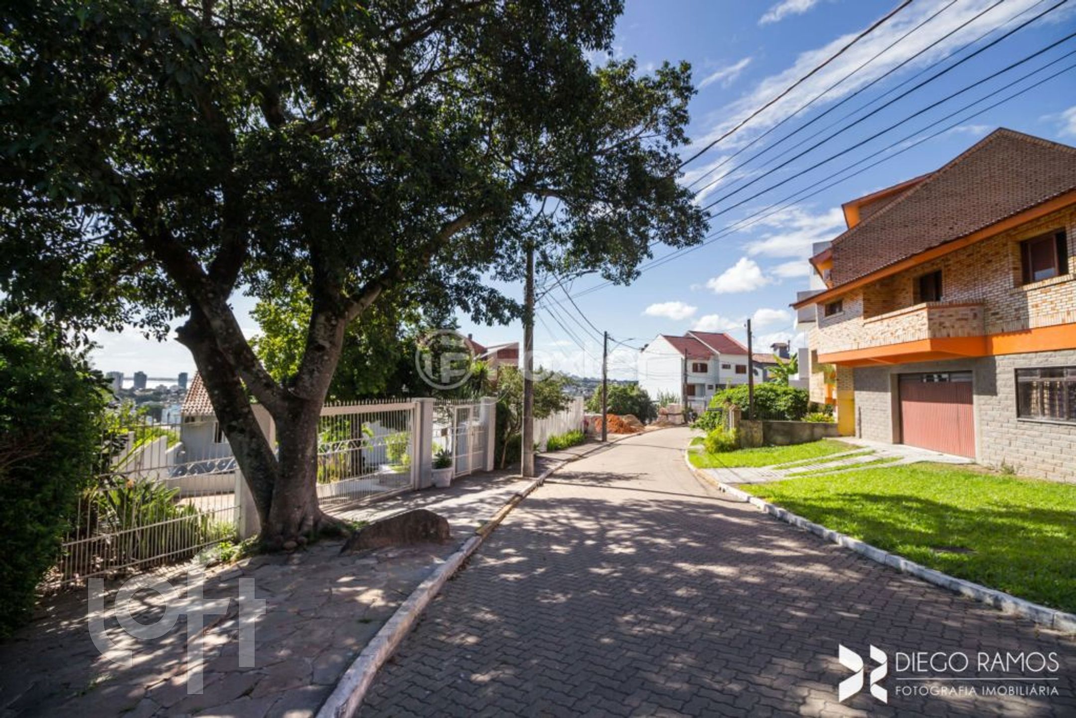 Imagem da propriedade 14