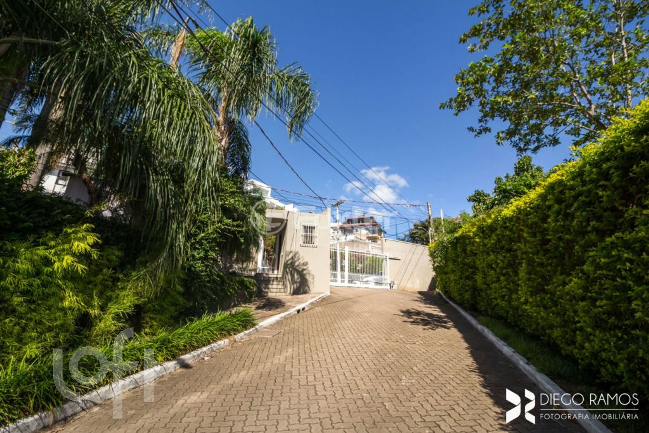 Imagem da propriedade 15