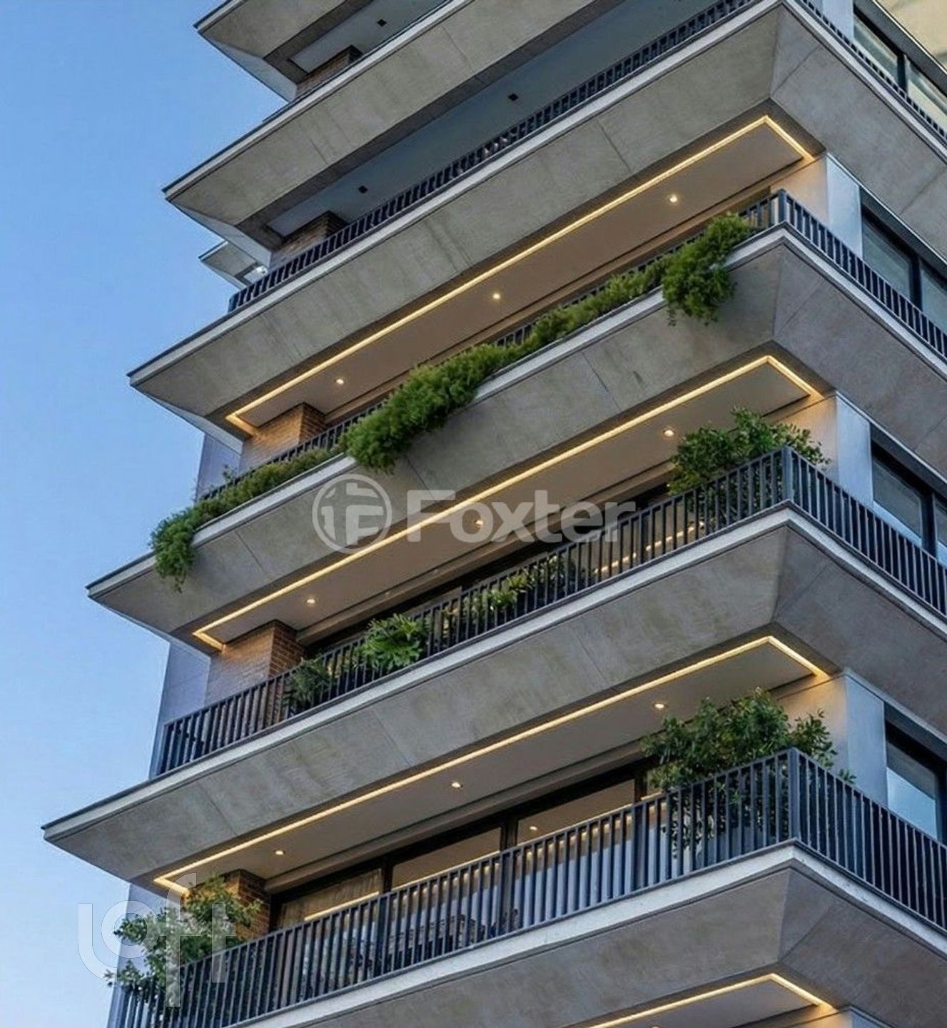 Imagem da propriedade 19