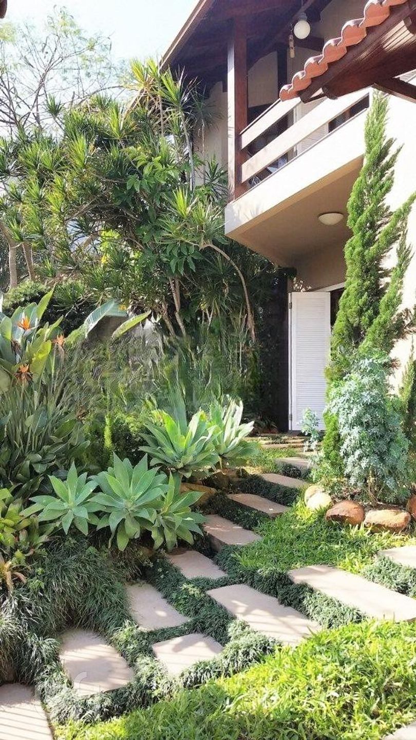 Imagem da propriedade 36