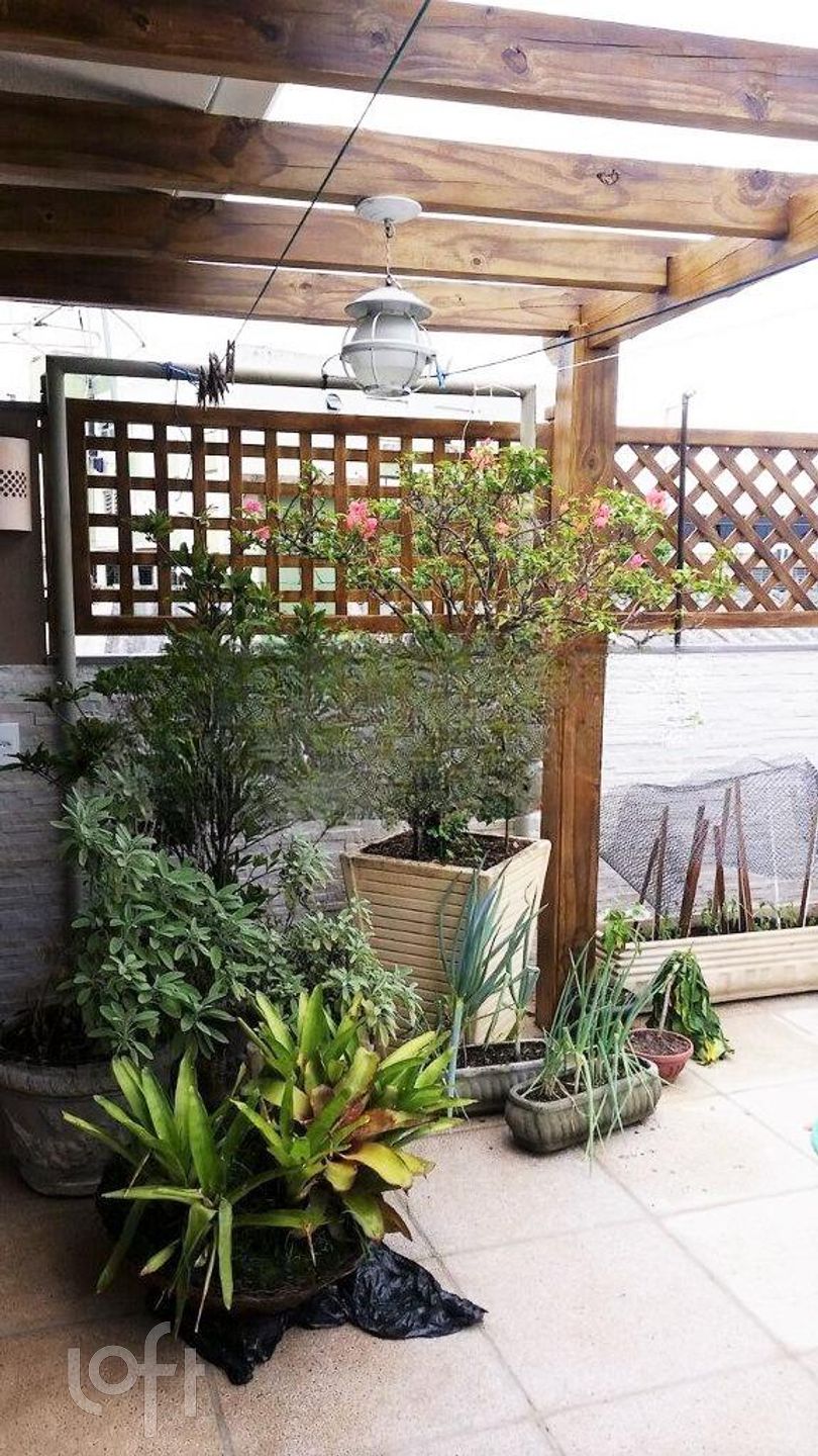 Imagem da propriedade 32