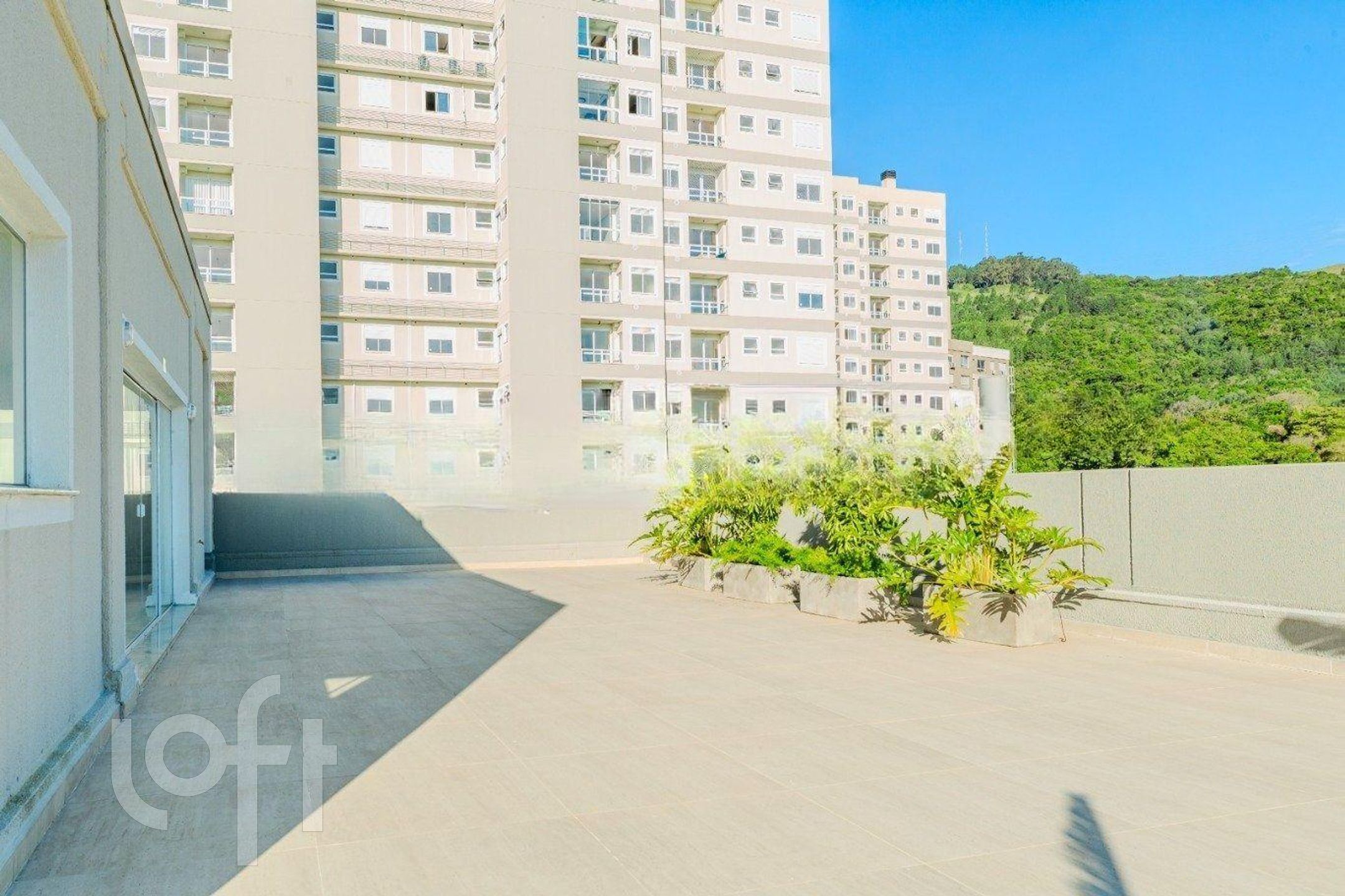 Imagem da propriedade 32