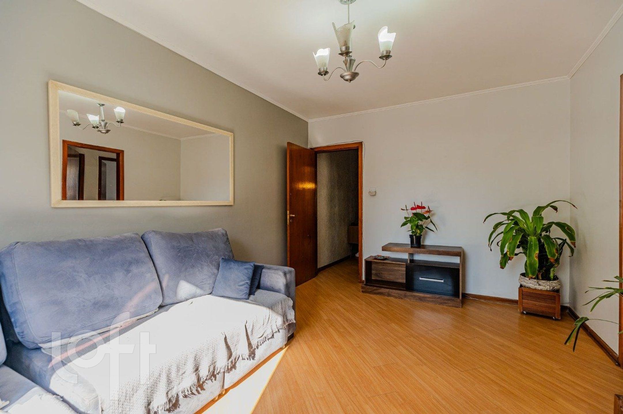 Imagem da propriedade 7