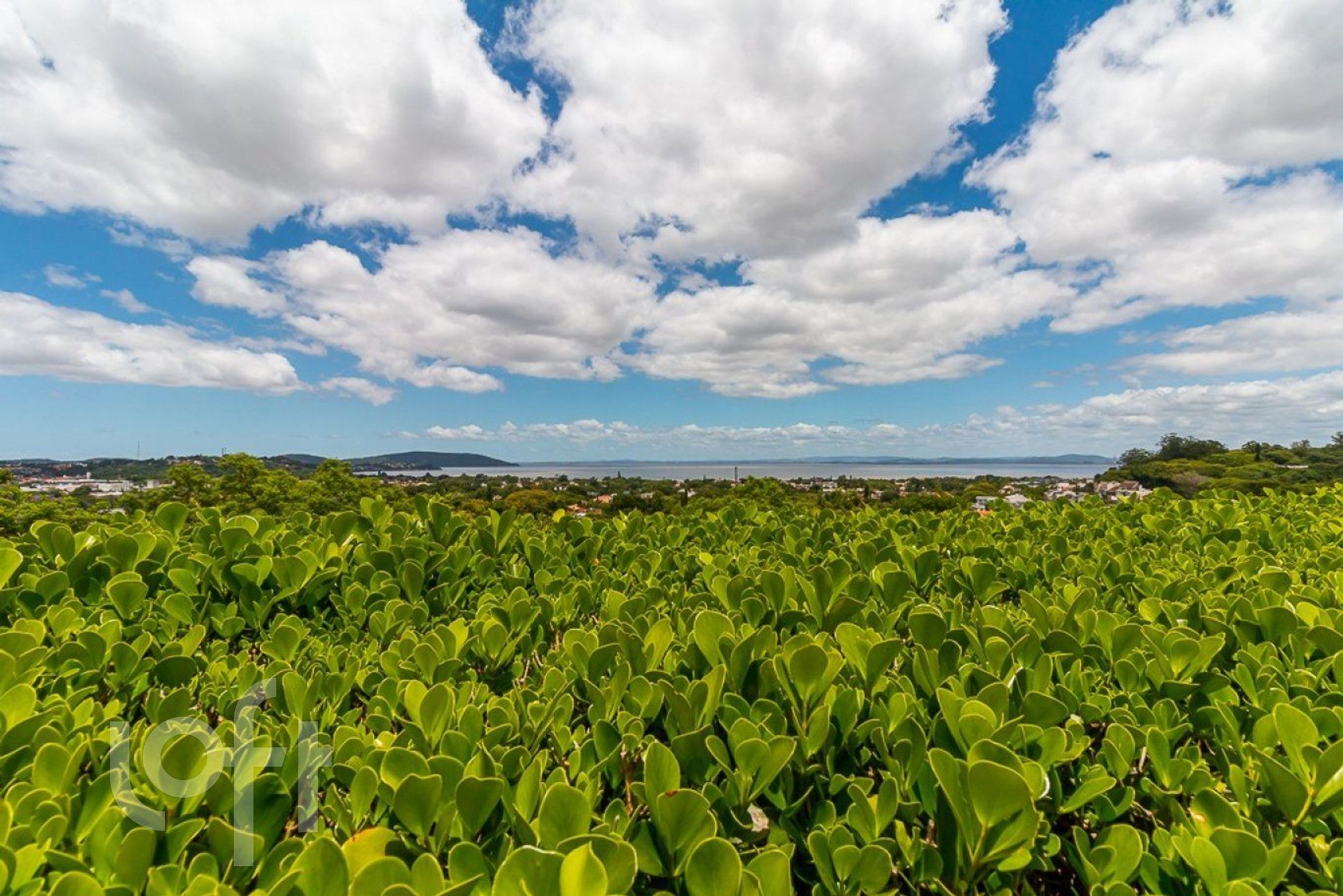 Imagem da propriedade 21