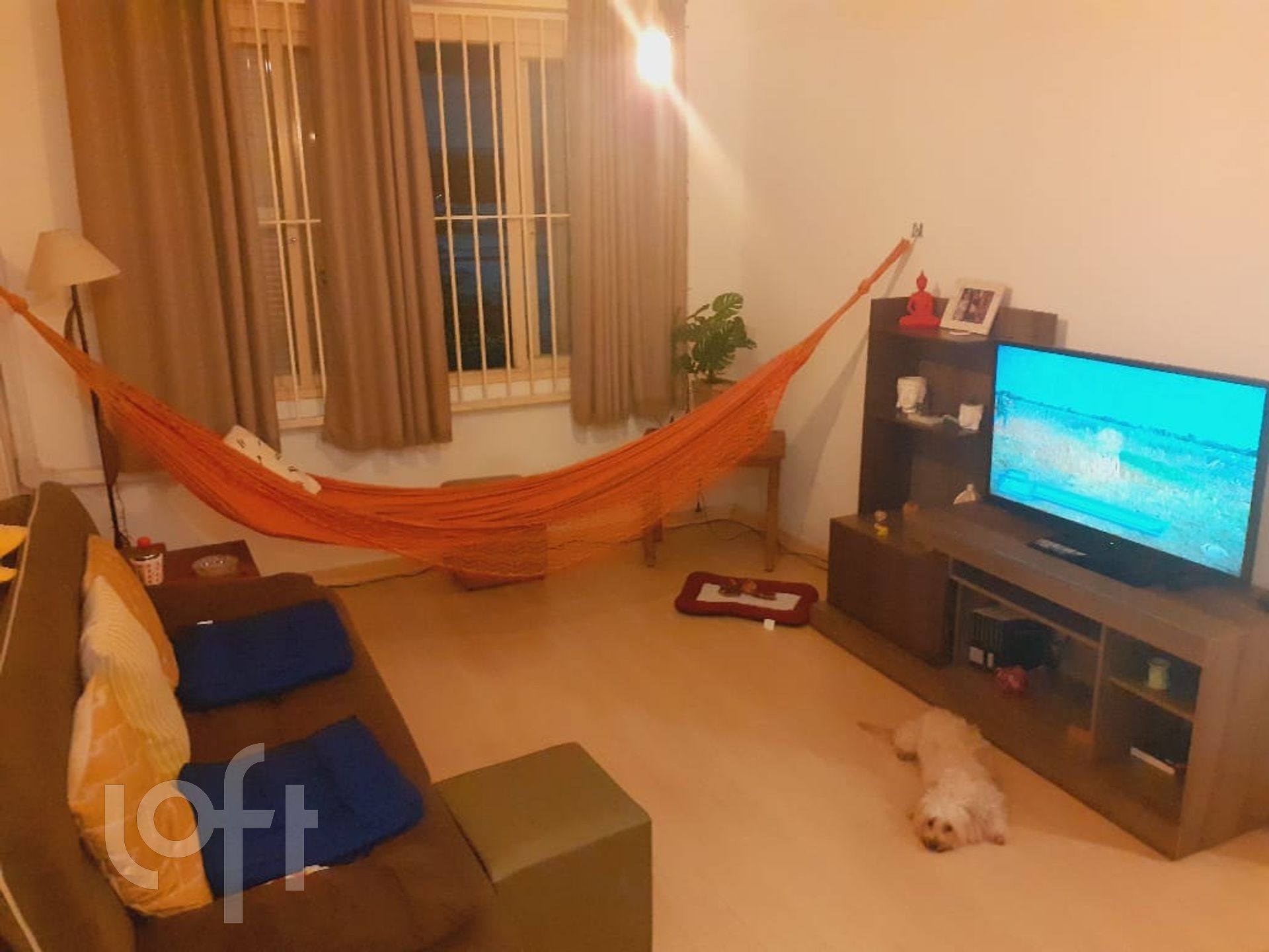 Imagem da propriedade 4