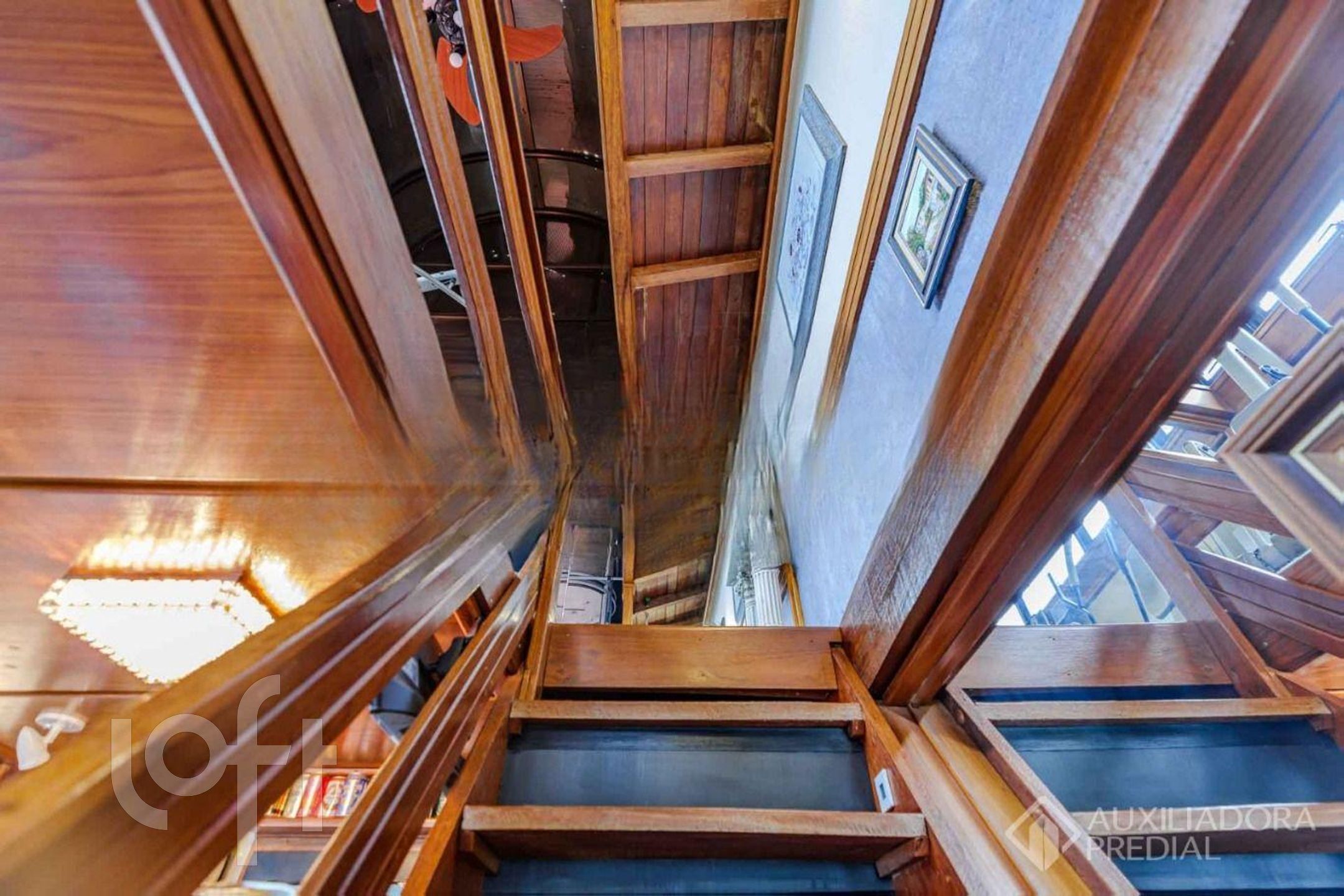 Imagem da propriedade 31