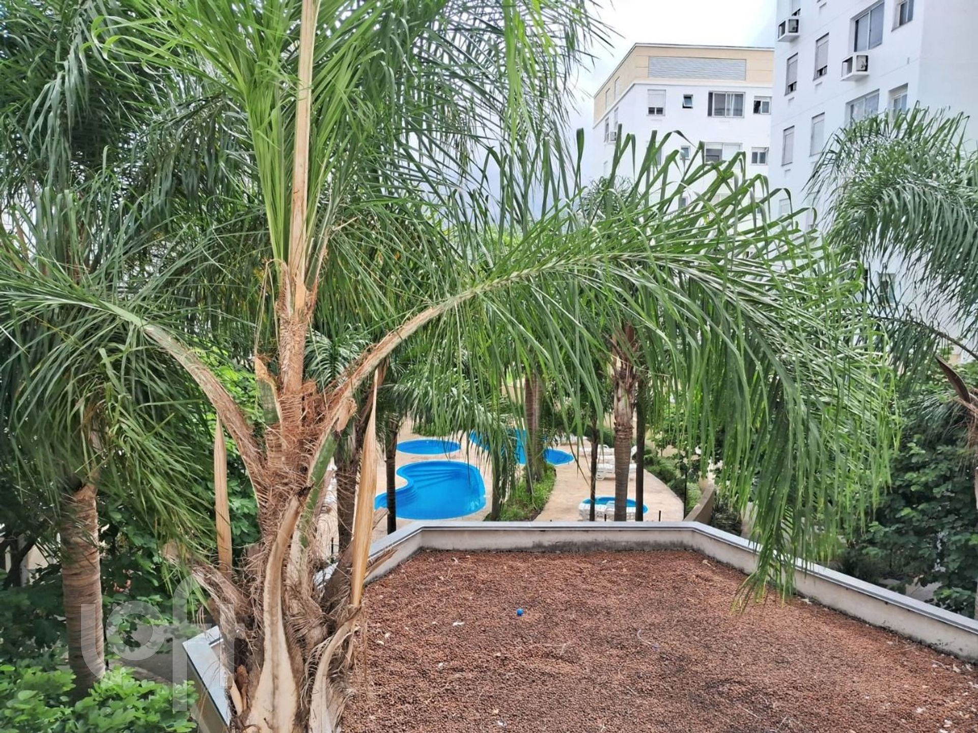 Imagem da propriedade 15