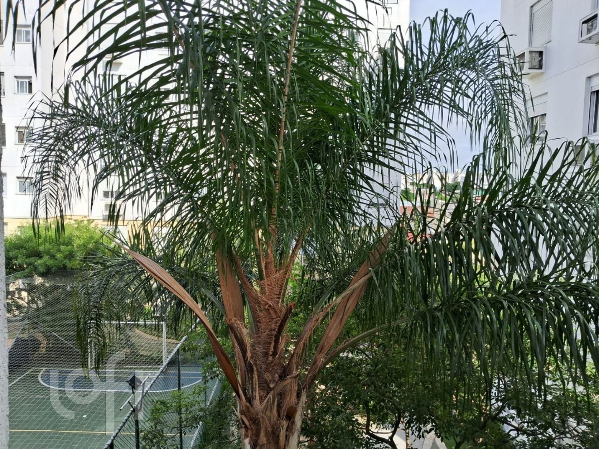 Imagem da propriedade 14