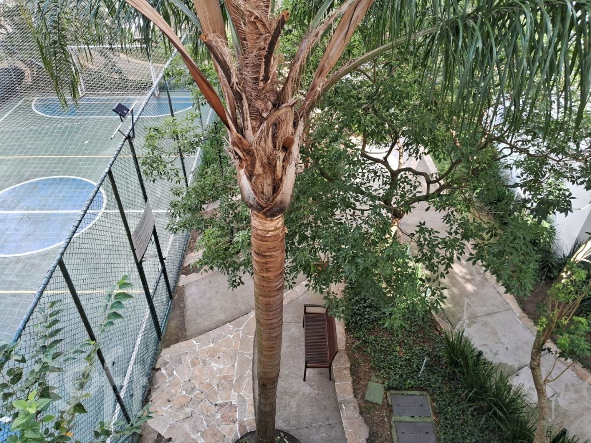 Imagem da propriedade 13