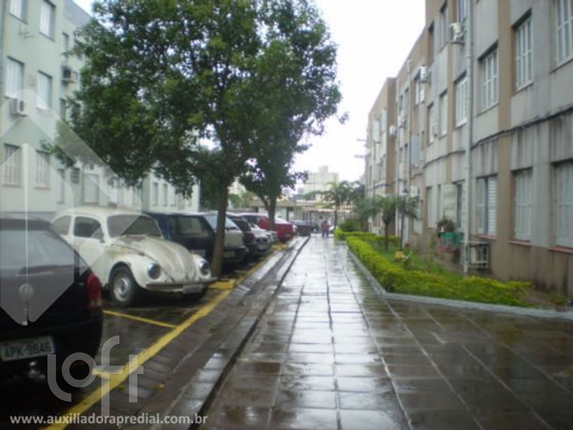 Imagem da propriedade 2