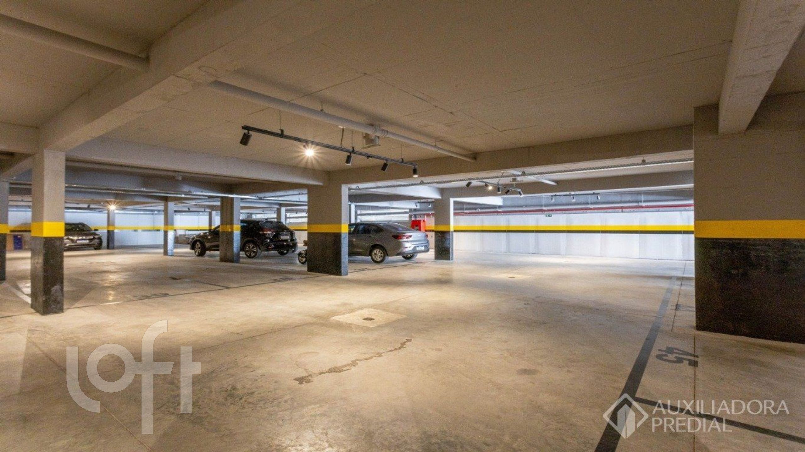 Imagem da propriedade 31