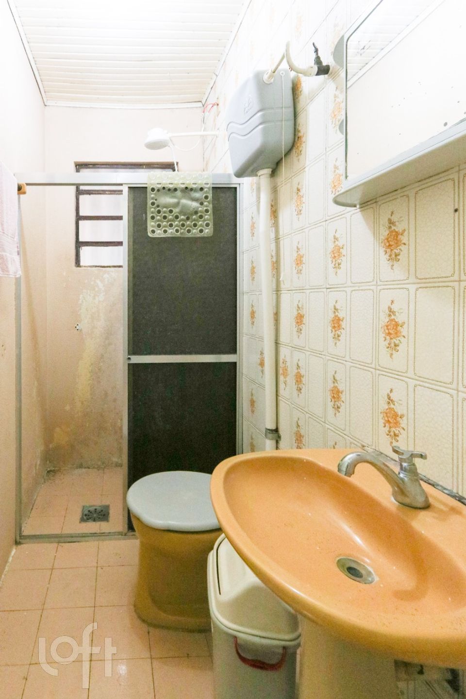 Imagem da propriedade 13