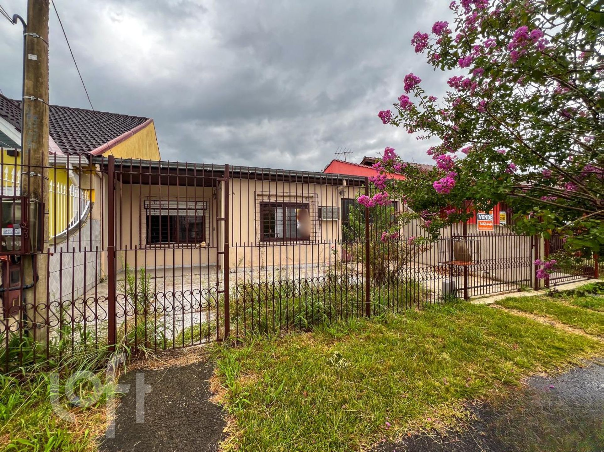 Imagem da propriedade 6