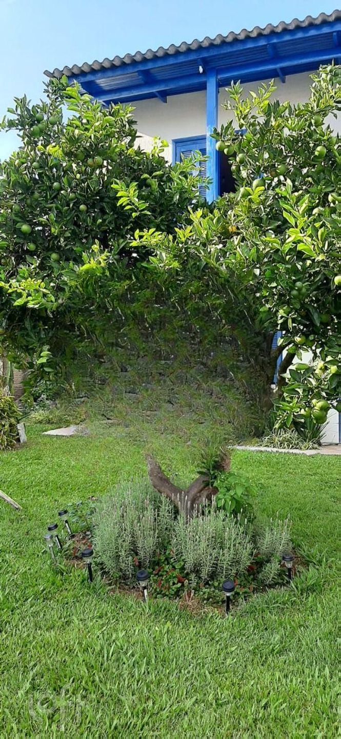 Imagem da propriedade 20