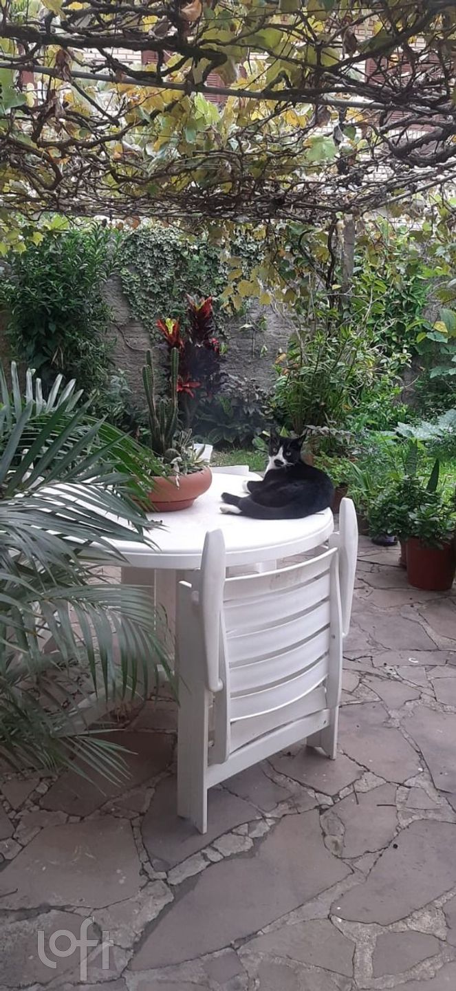 Imagem da propriedade 22