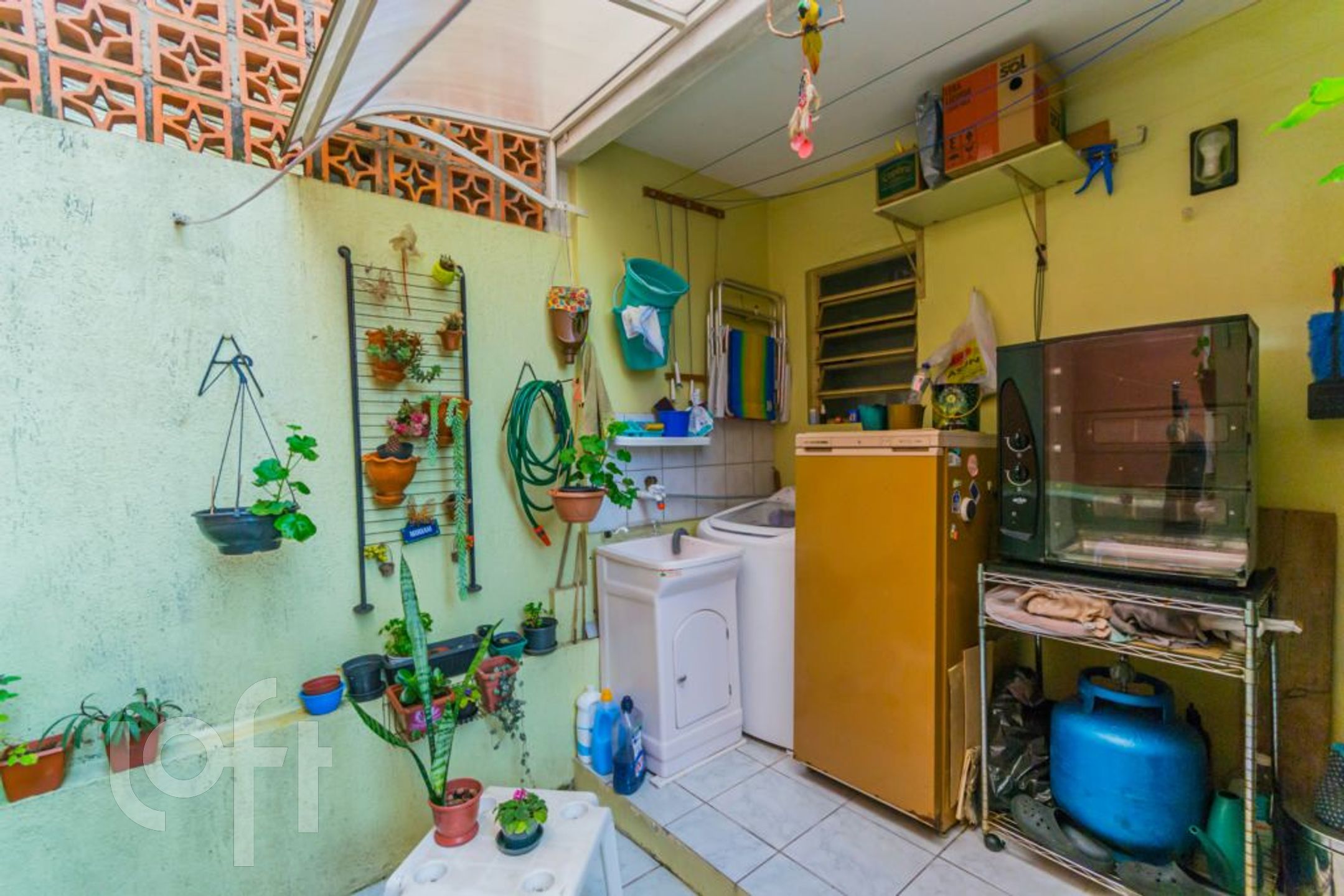 Imagem da propriedade 37