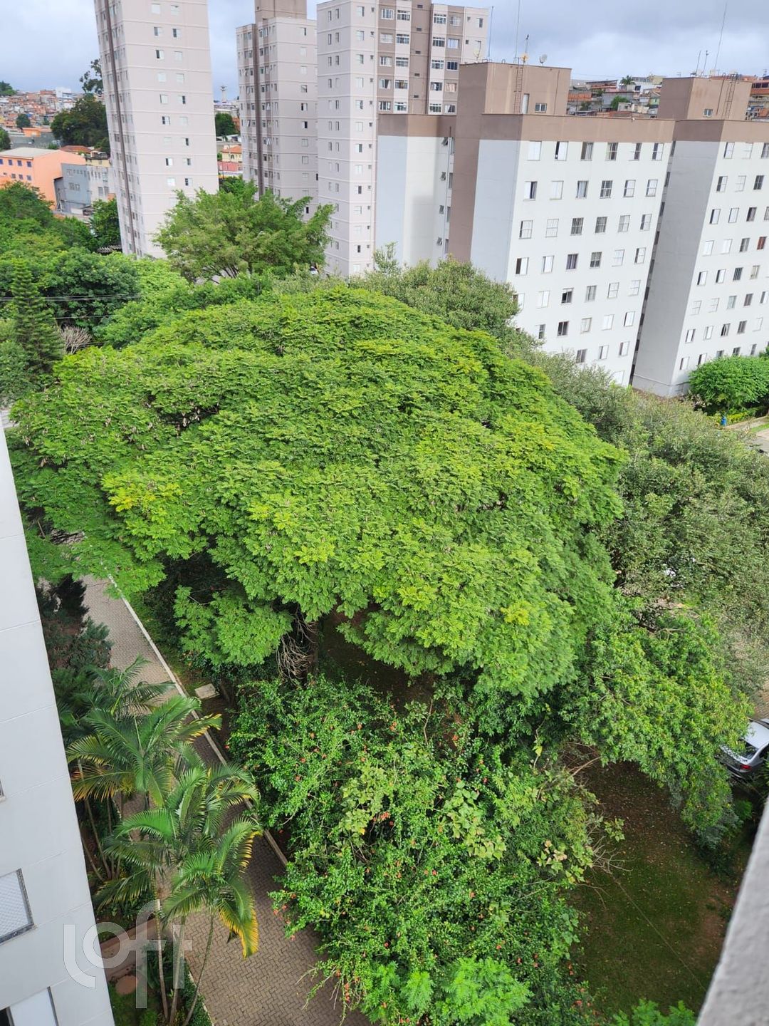 Imagem da propriedade 5