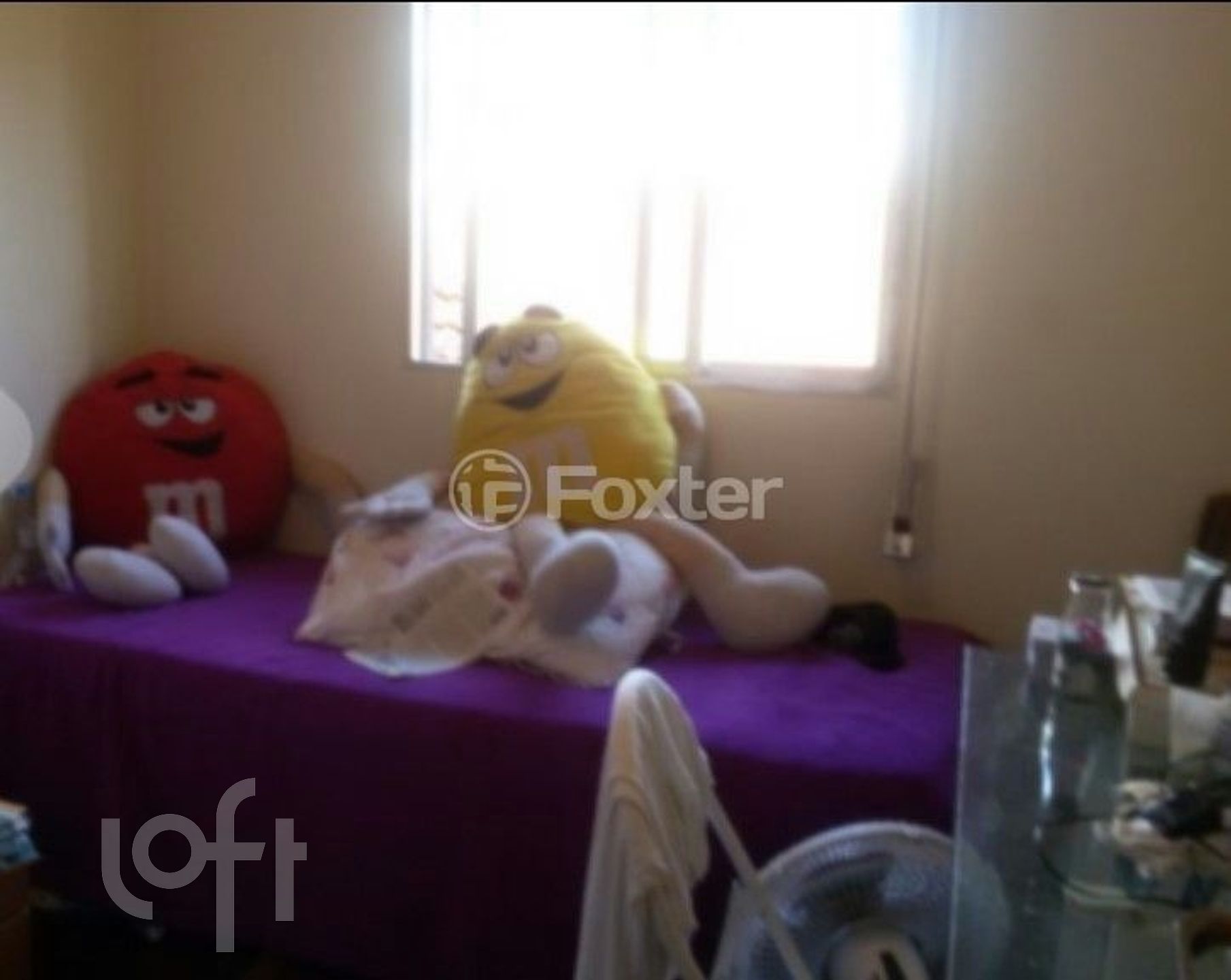 Imagem da propriedade 7