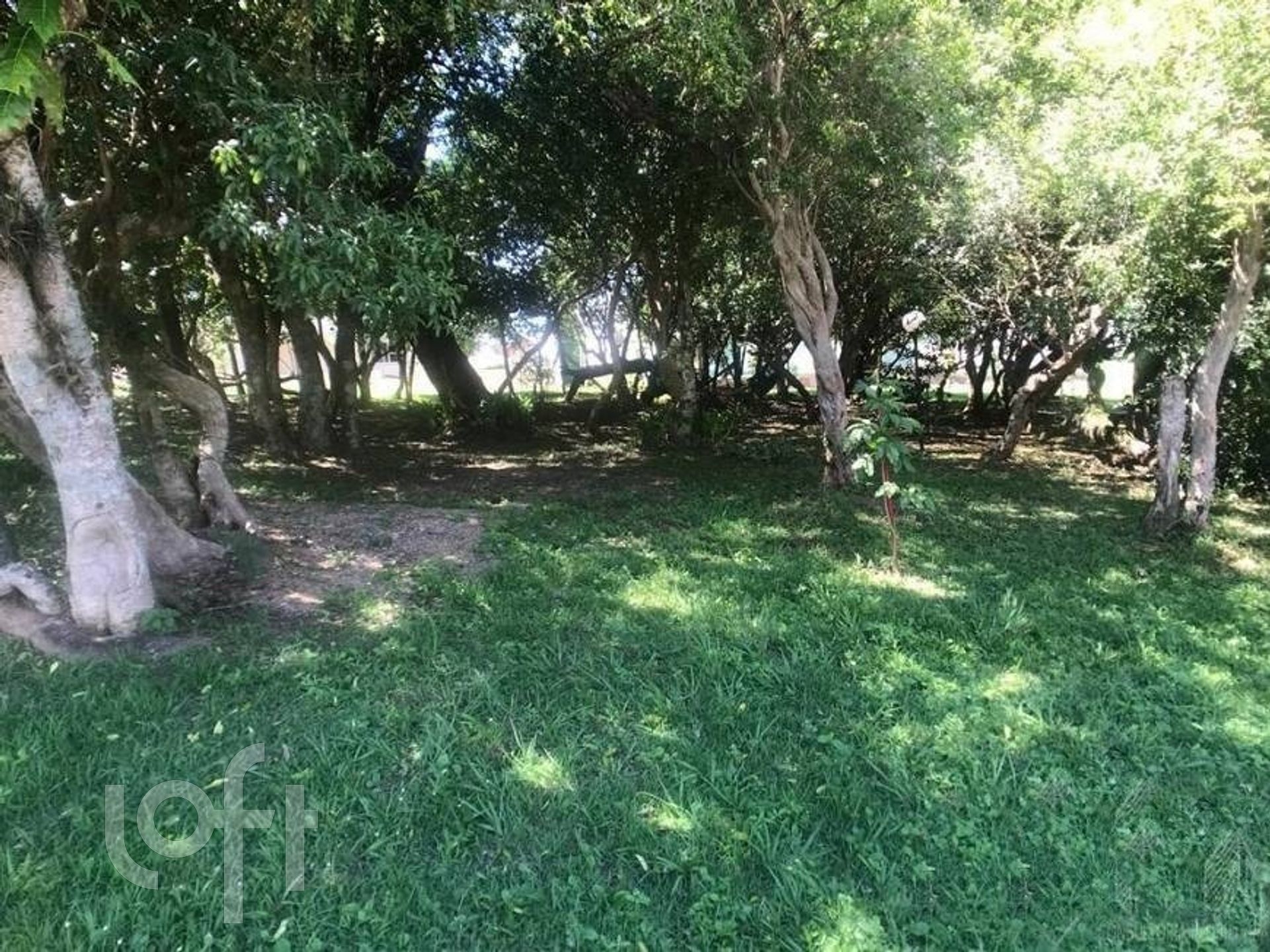 Imagem da propriedade 32