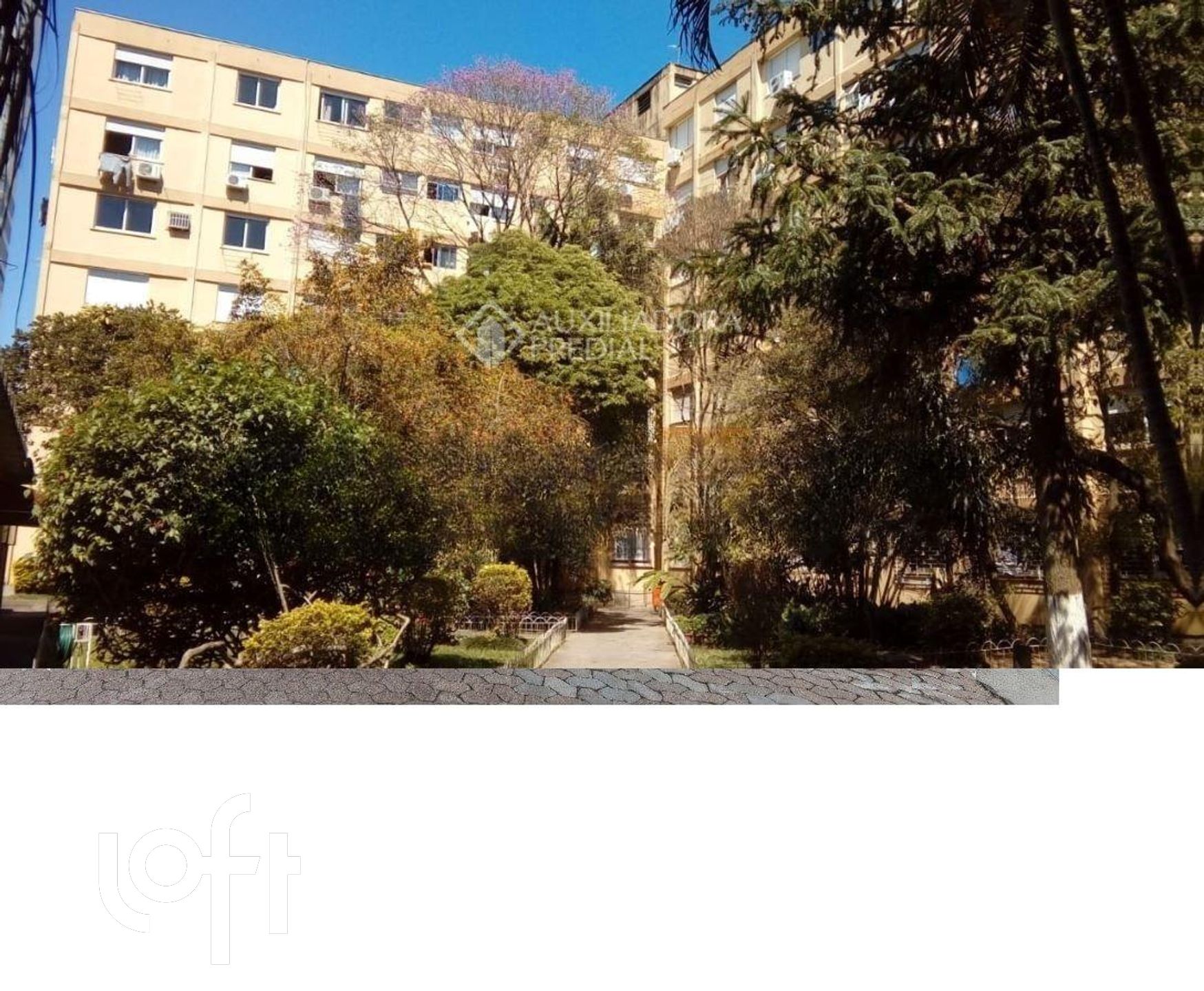 Imagem da propriedade 9