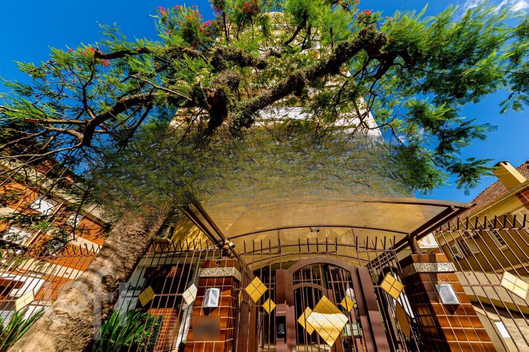 Imagem da propriedade 29