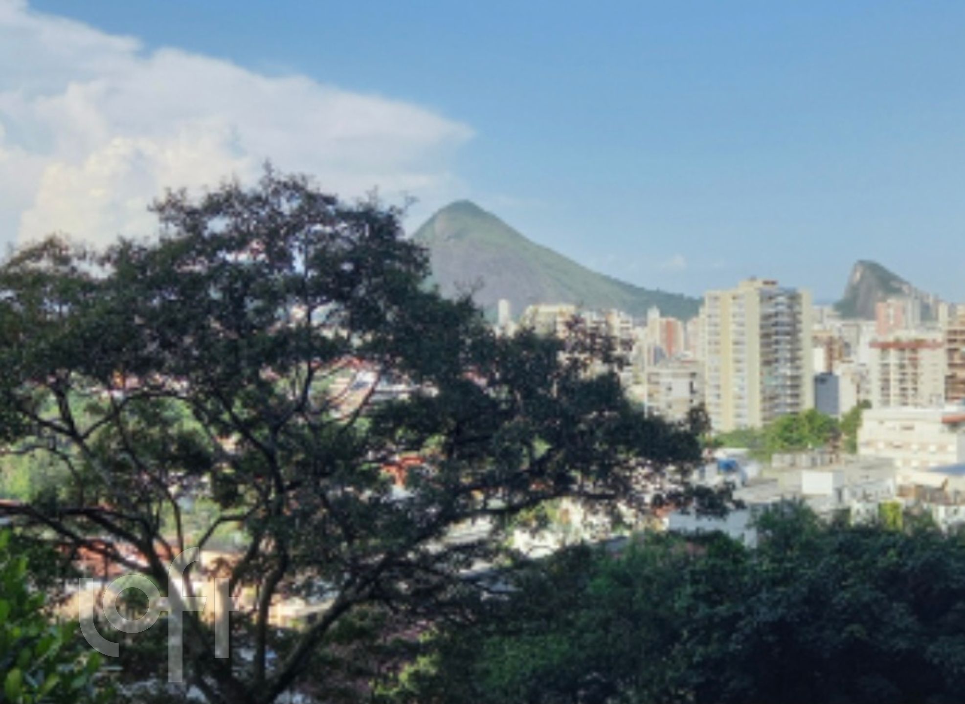 Imagem da propriedade 6