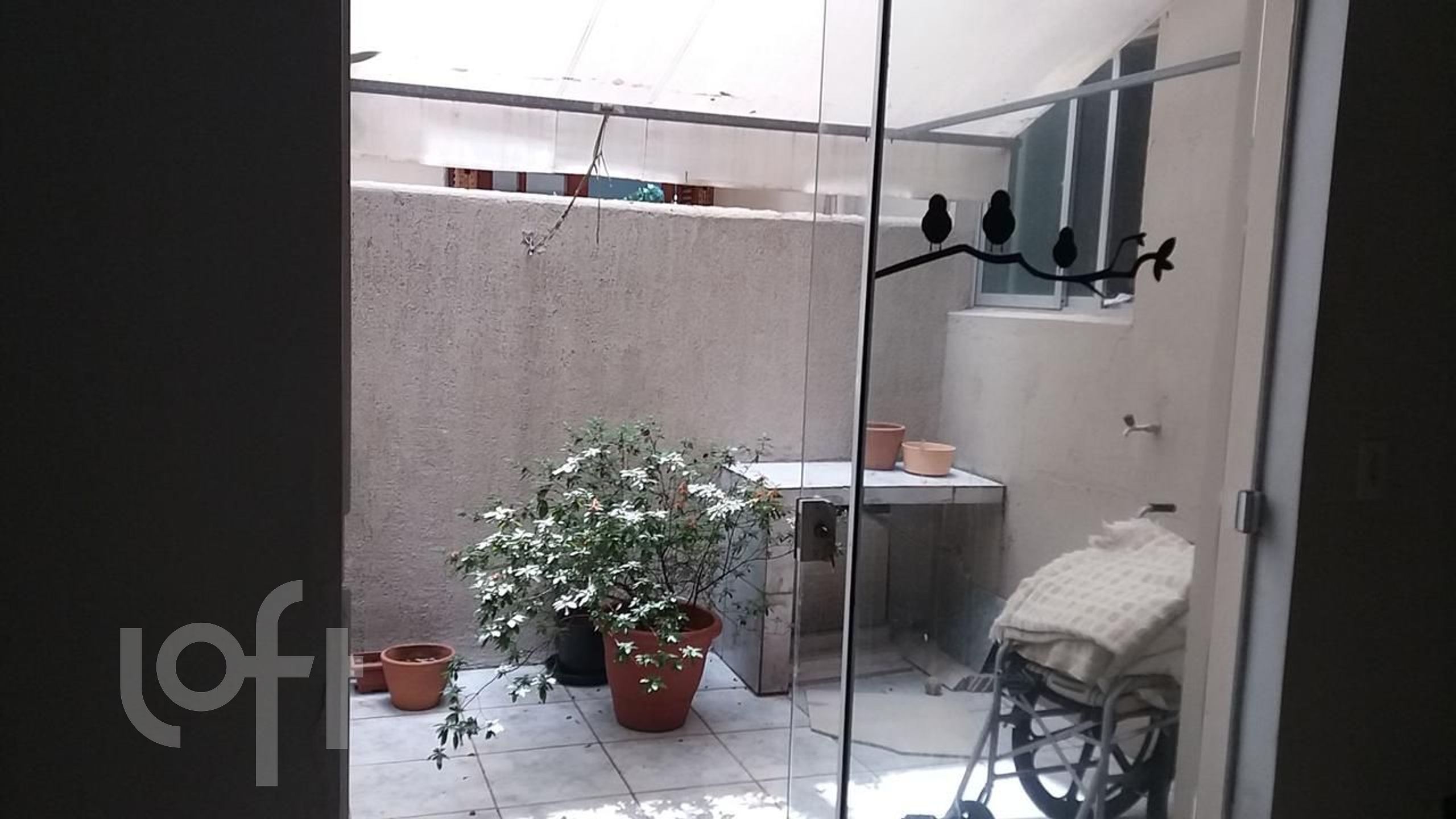 Imagem da propriedade 8