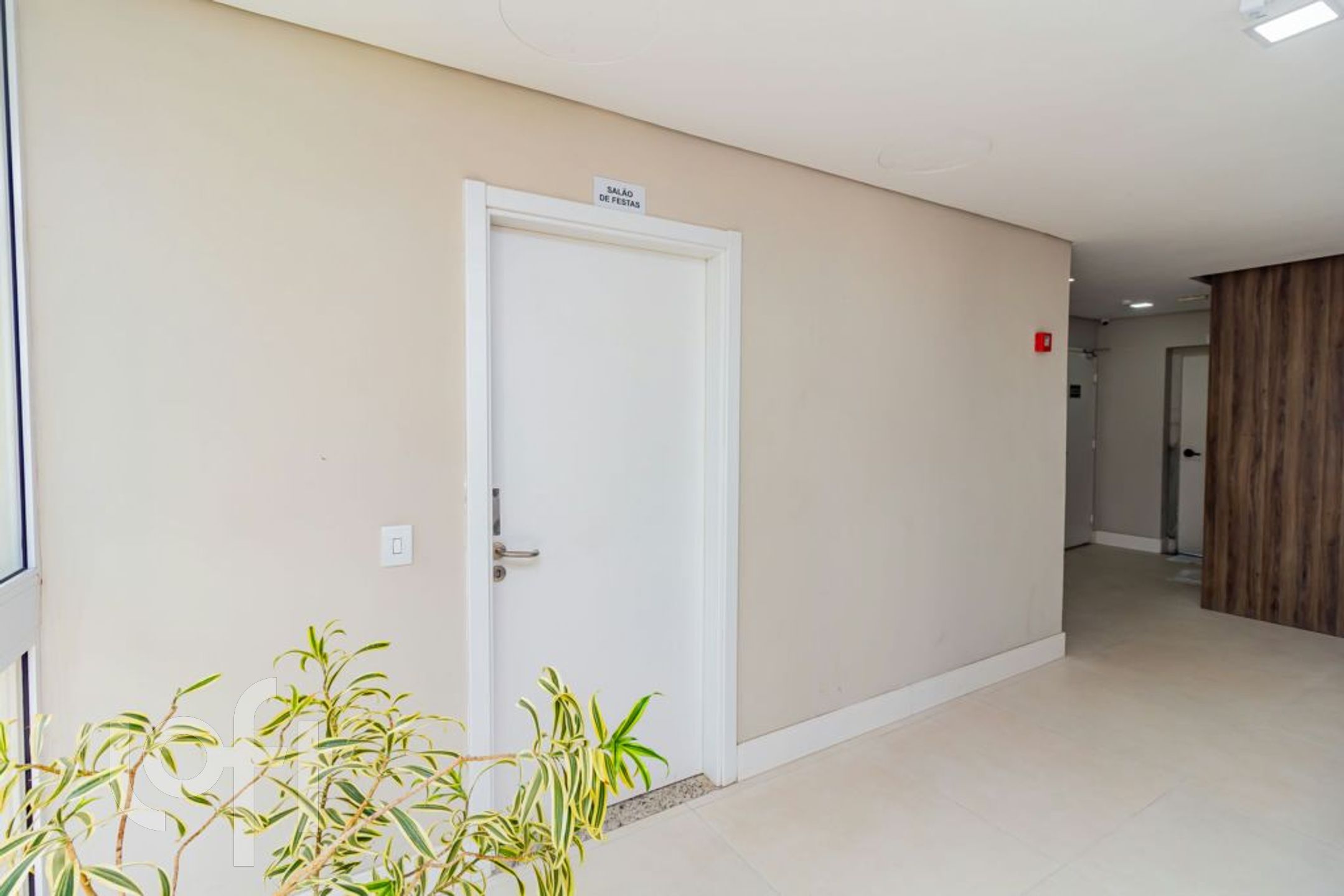 Imagem da propriedade 42